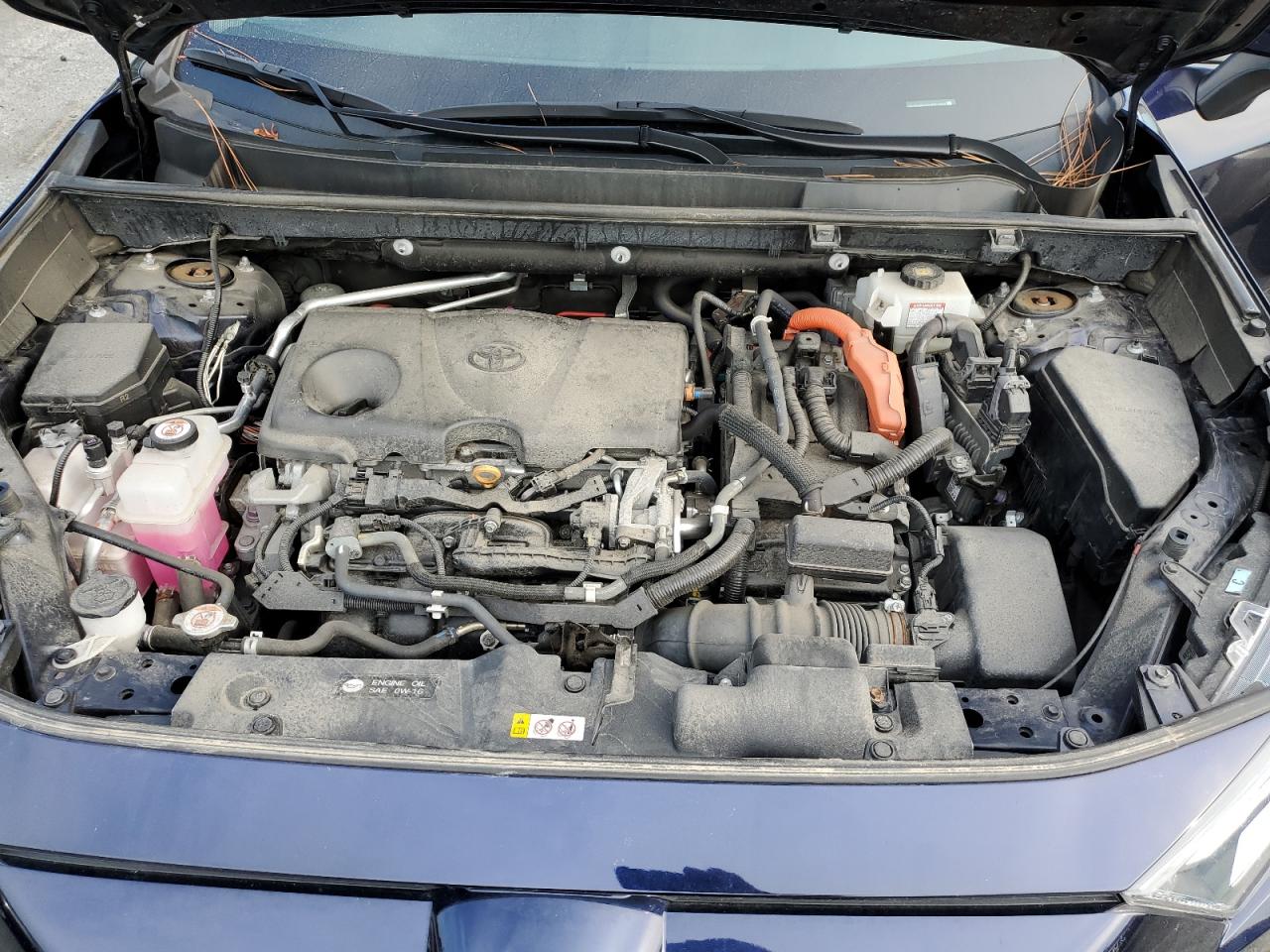 2020 Toyota Rav4 Xle VIN: 2T3RWRFV6LW057882 Lot: 60559424