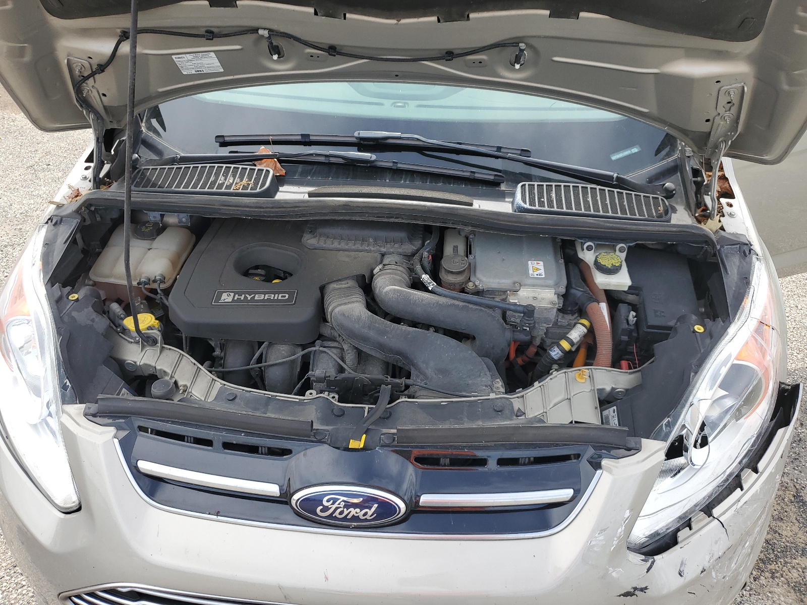 1FADP5BU3FL124819 2015 Ford C-Max Sel