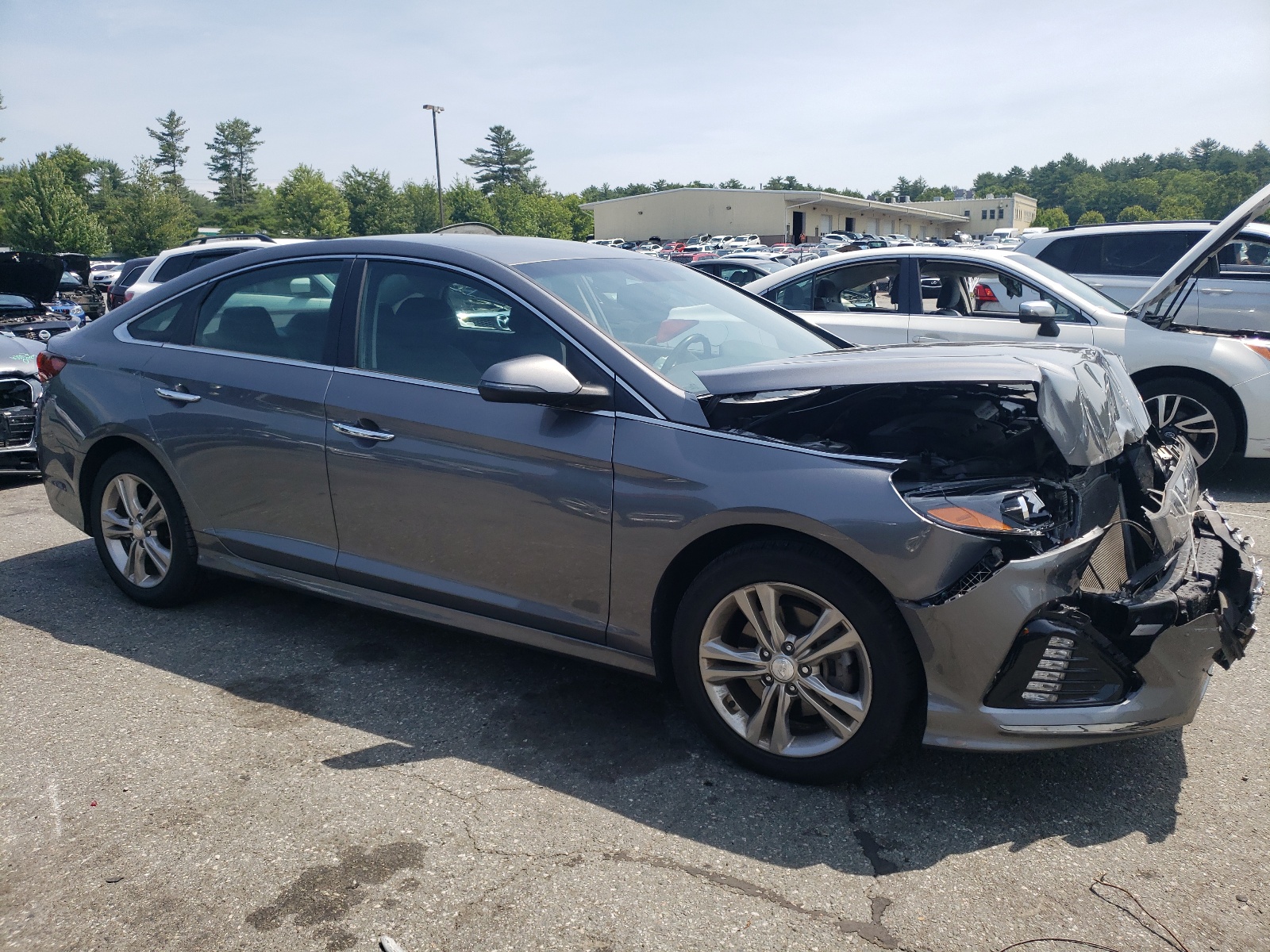 2019 Hyundai Sonata Limited vin: 5NPE34AF7KH817463