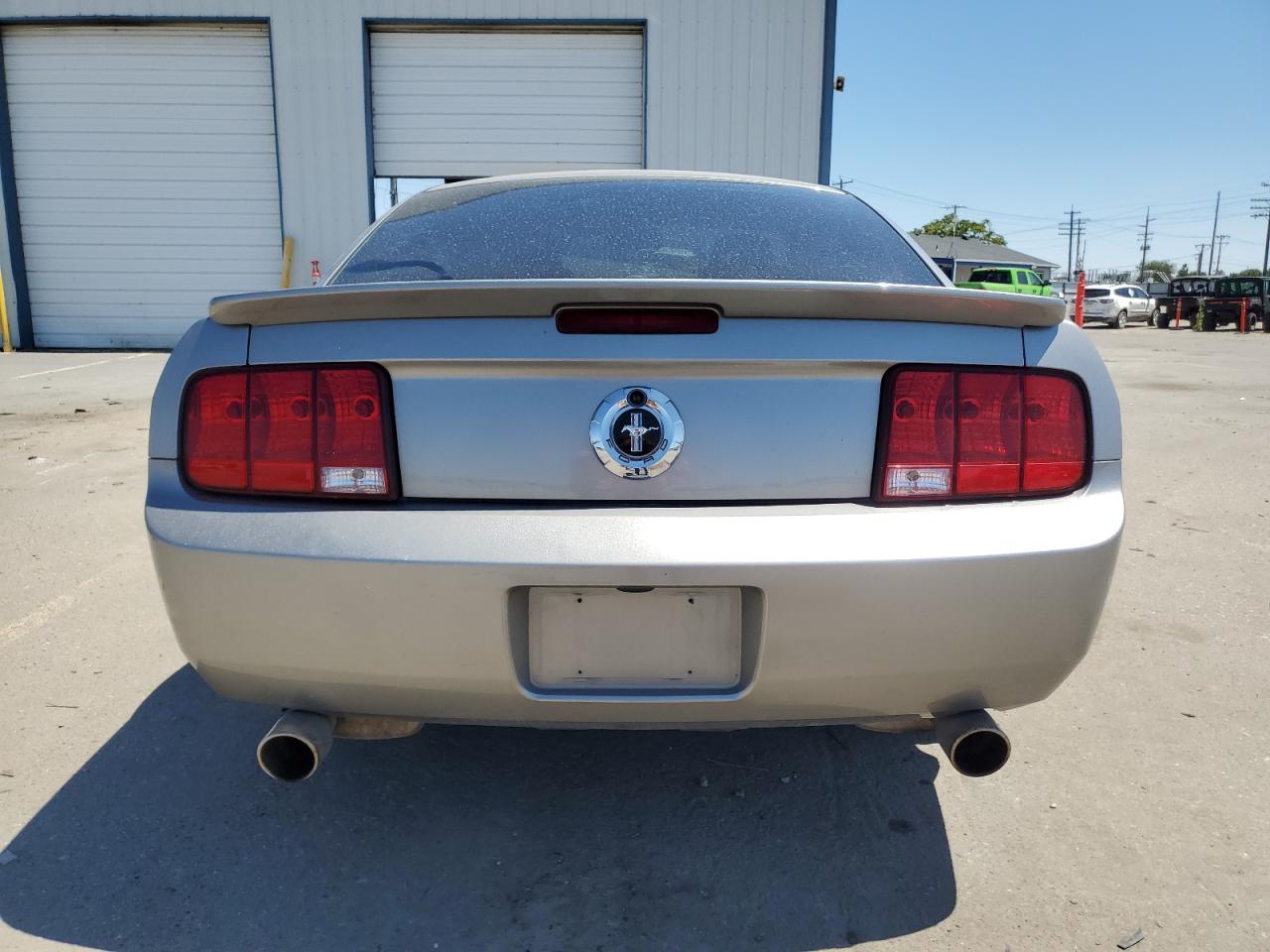 2008 Ford Mustang VIN: 1ZVHT80N585146975 Lot: 60668824