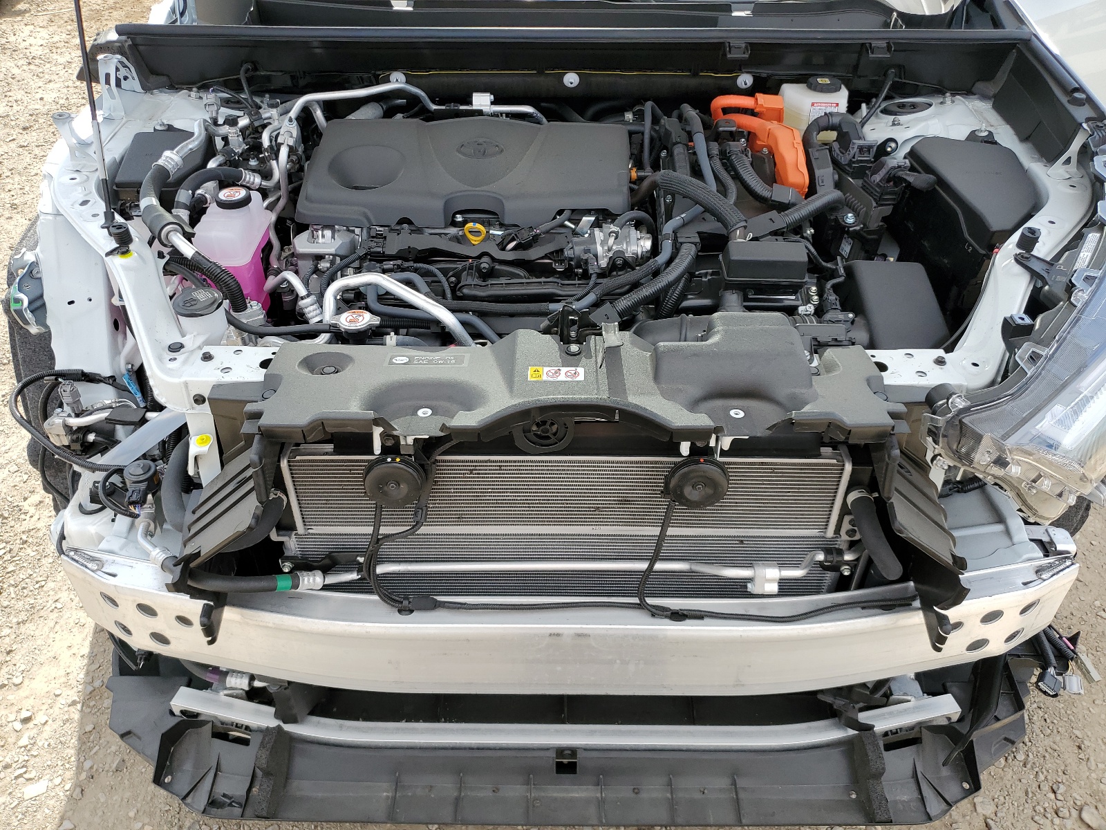 JTMEB3FV2RD191009 2024 Toyota Rav4 Prime Xse