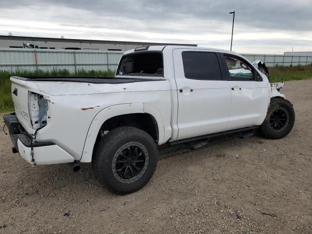  TOYOTA TUNDRA 2019 Білий