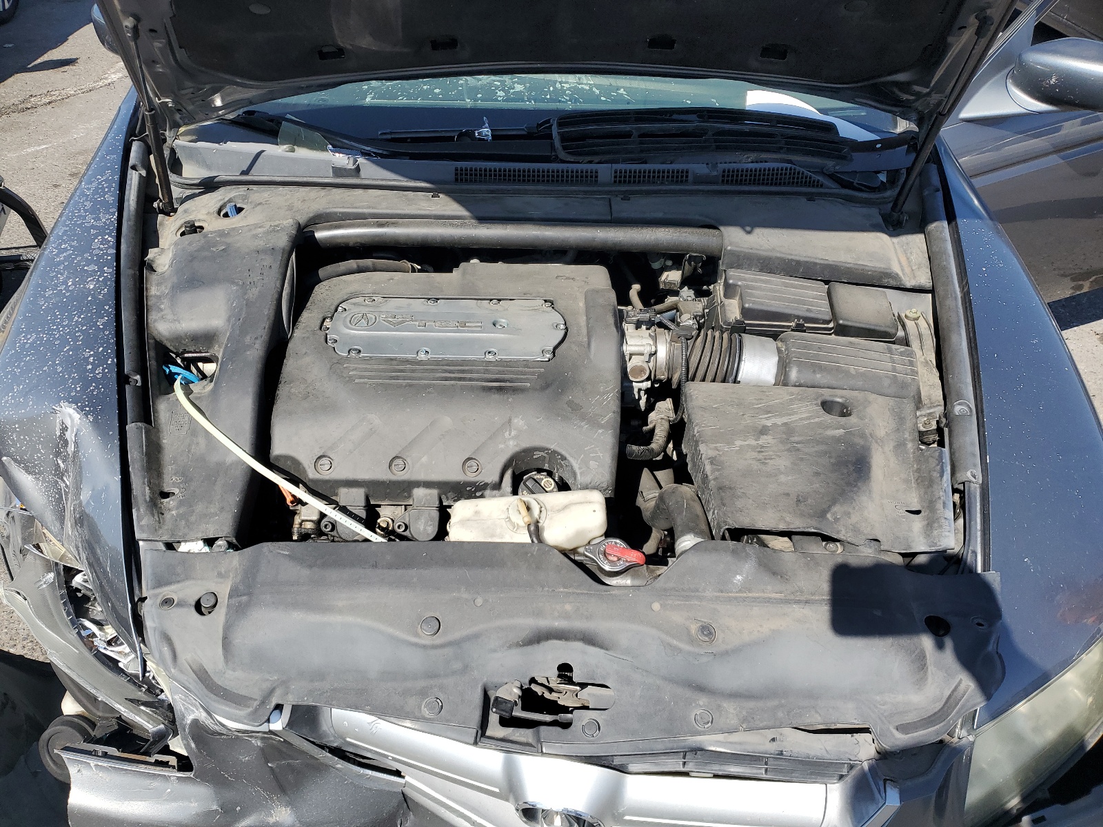 19UUA66236A040524 2006 Acura 3.2Tl