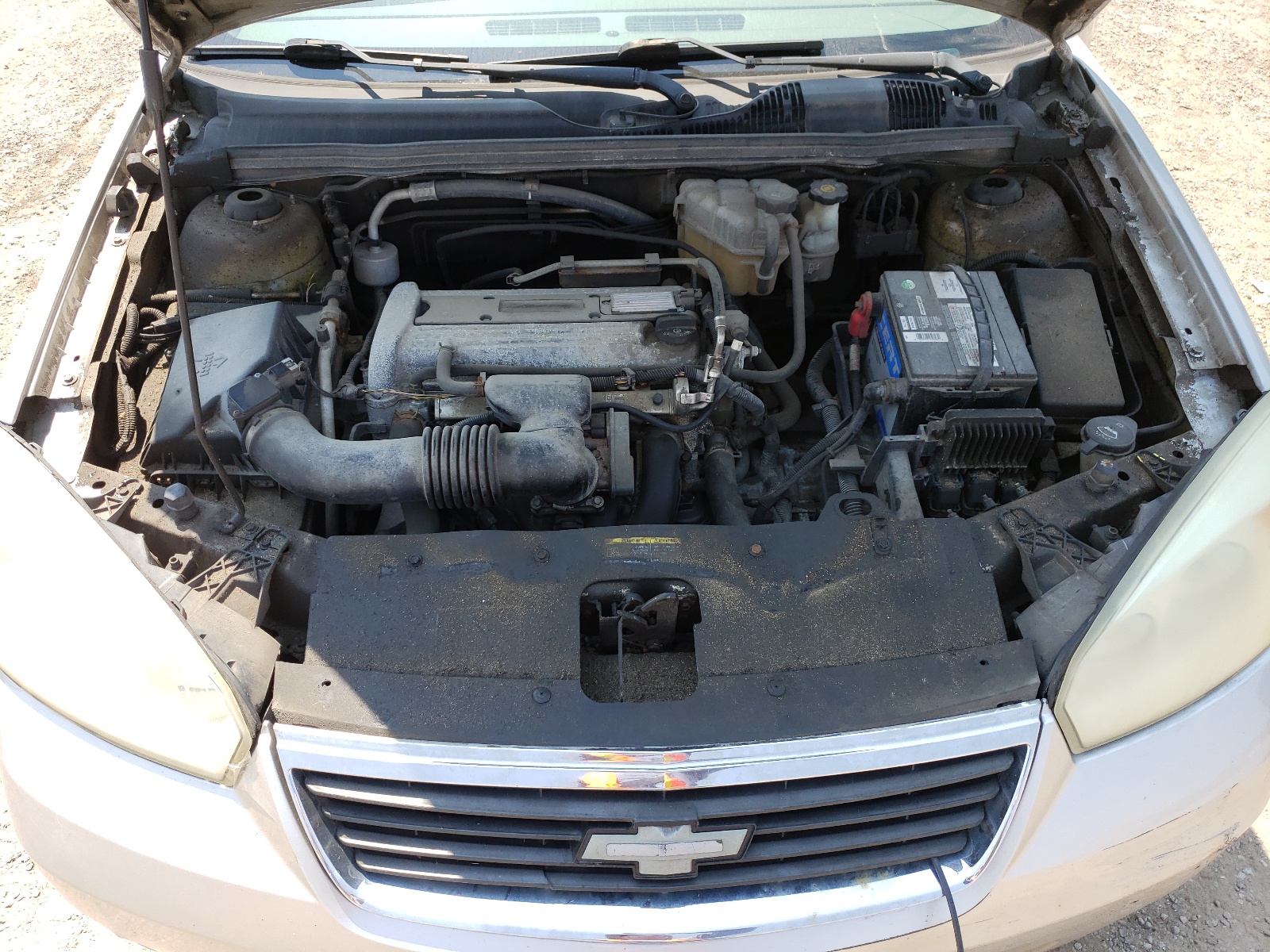 1G1ZT51F76F209832 2006 Chevrolet Malibu Lt