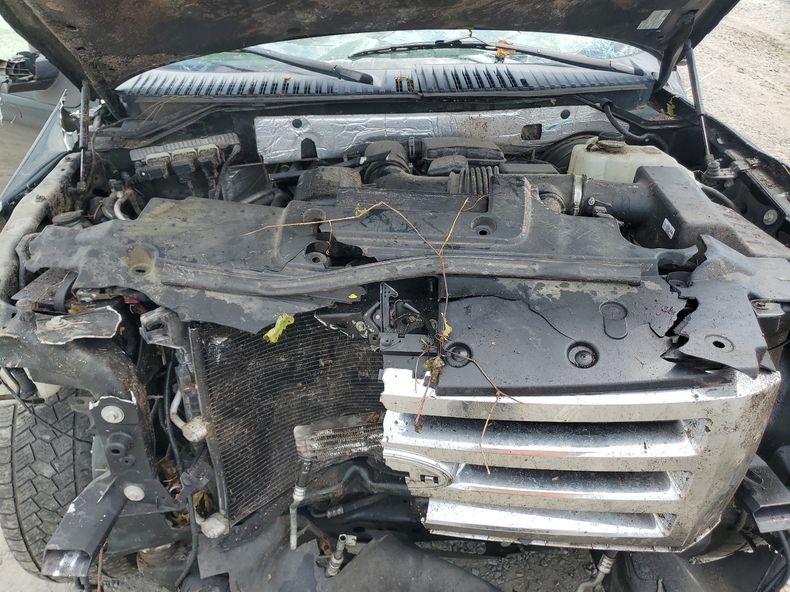 1FMJU1H53EEF21007 2014 Ford Expedition Xlt