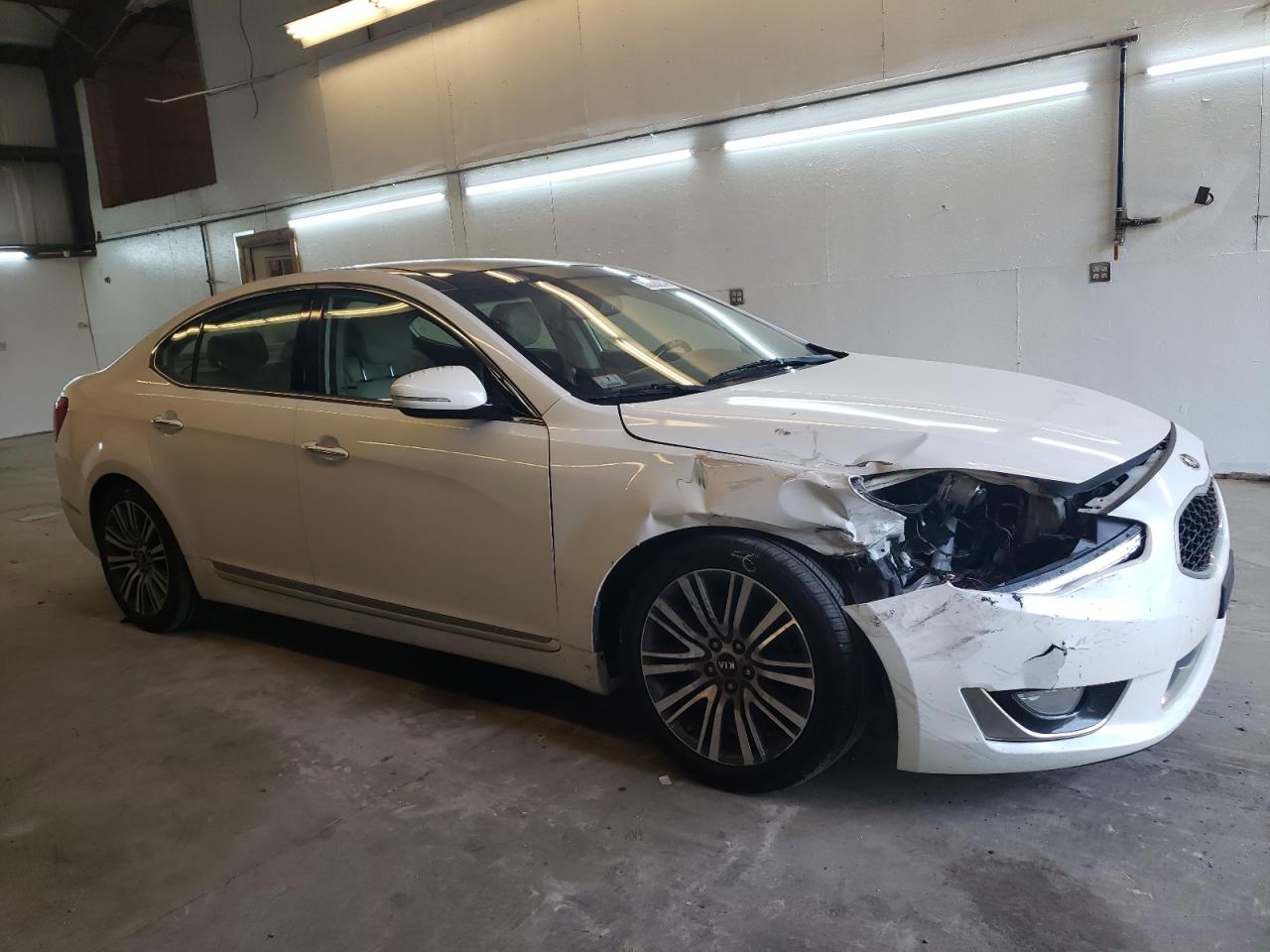 2014 Kia Cadenza Premium VIN: KNALN4D76E5161991 Lot: 59928214