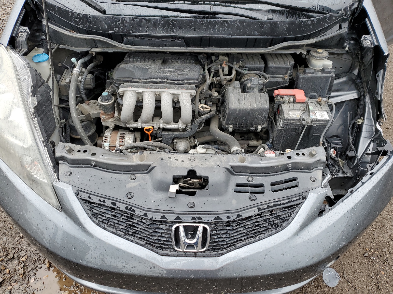 JHMGE8H53BC800175 2011 Honda Fit Sport