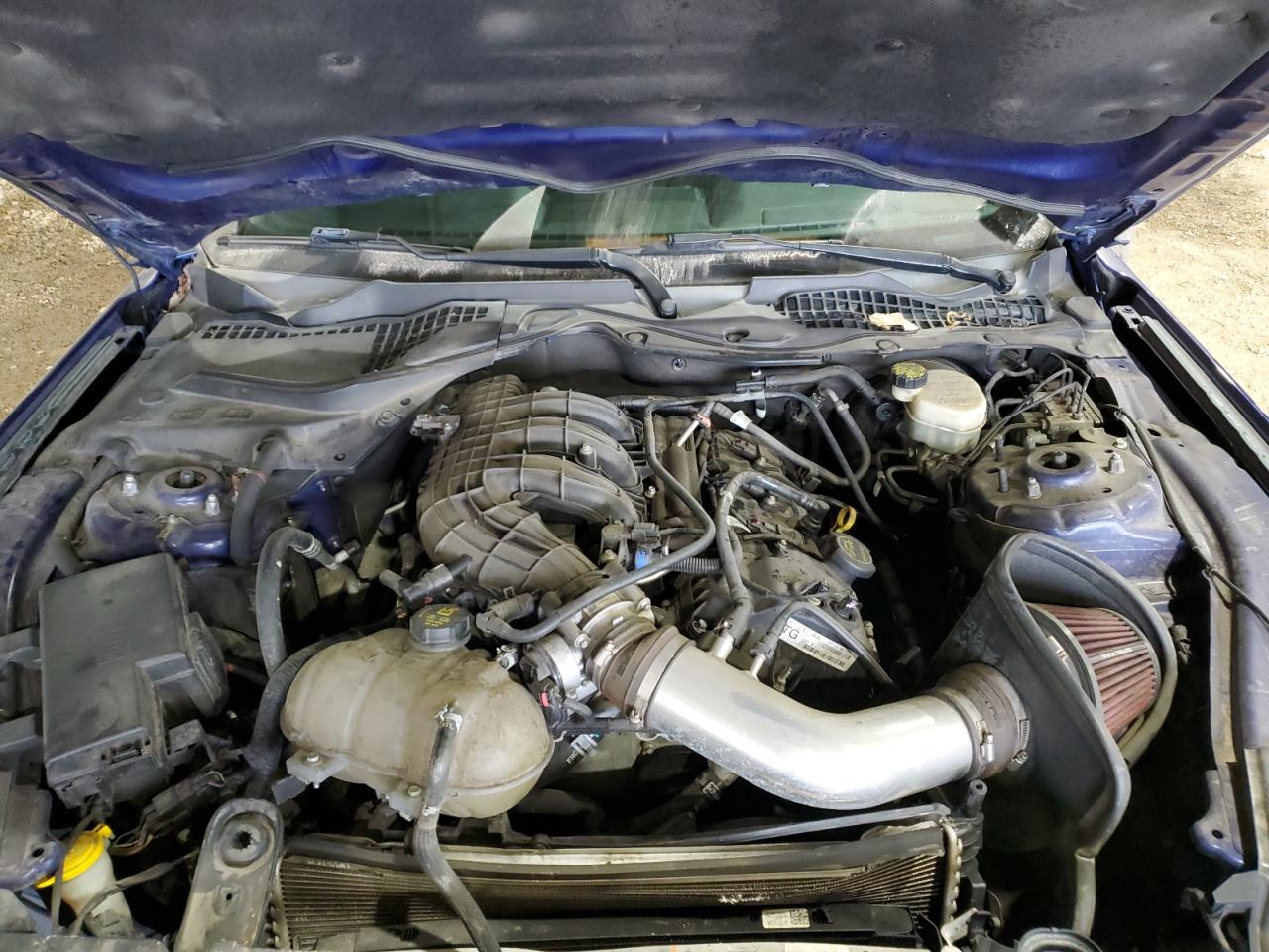 2016 Ford Mustang VIN: 1FA6P8AM0G5242229 Lot: 57891994