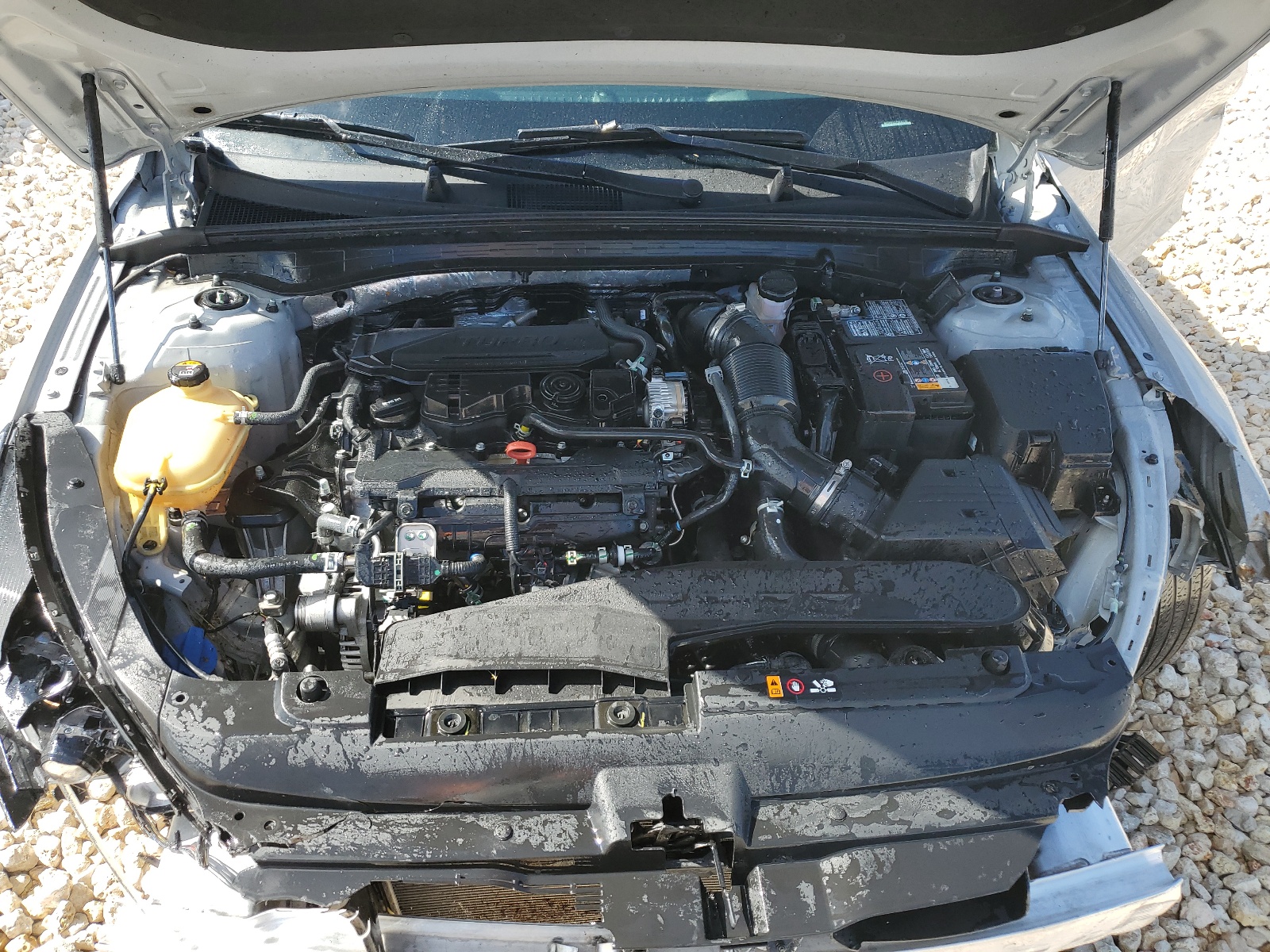 5XXG64J21PG225136 2023 Kia K5 Gt Line