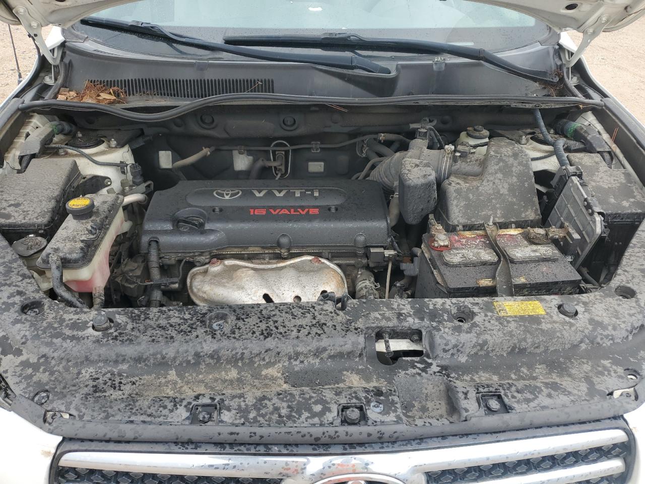 2008 Toyota Rav4 Limited VIN: JTMZD31V985081246 Lot: 59801374