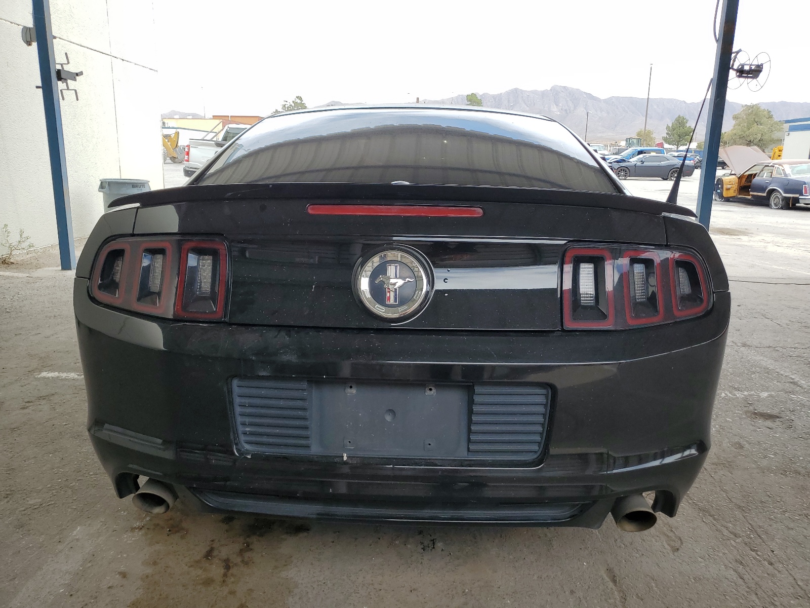 1ZVBP8AM3D5217844 2013 Ford Mustang