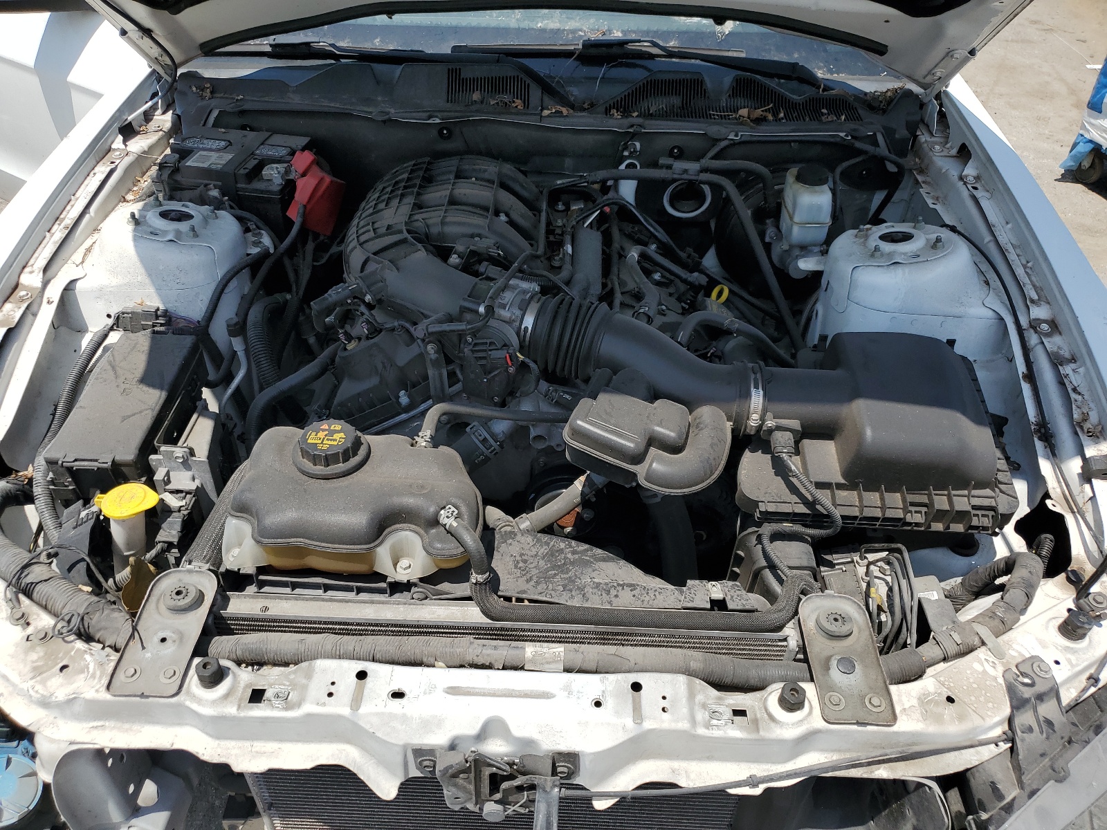 1ZVBP8AM1D5225988 2013 Ford Mustang