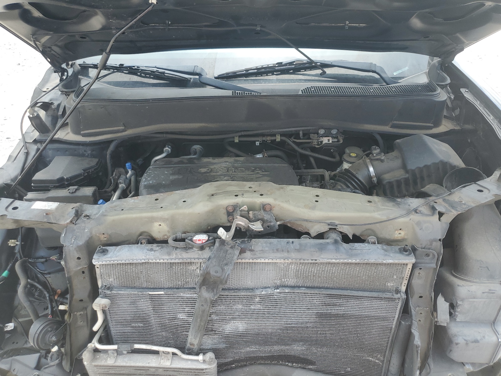 5FNYF4H55CB047992 2012 Honda Pilot Exl