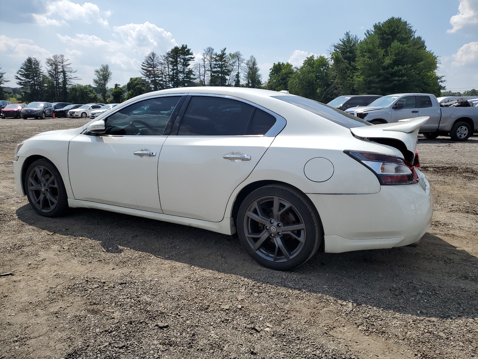 1N4AA5AP9EC448436 2014 Nissan Maxima S