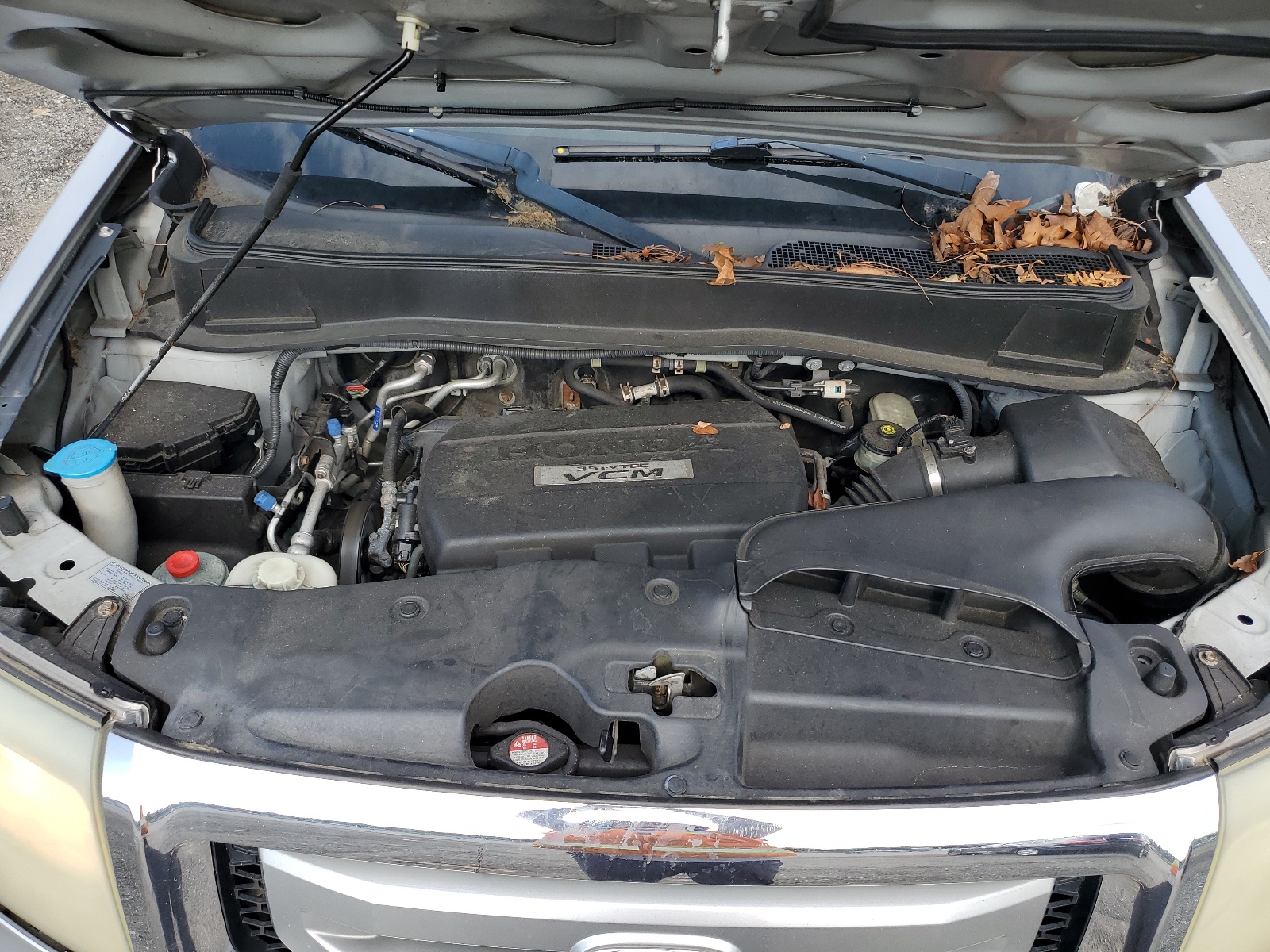 5FNYF48559B034295 2009 Honda Pilot Exl