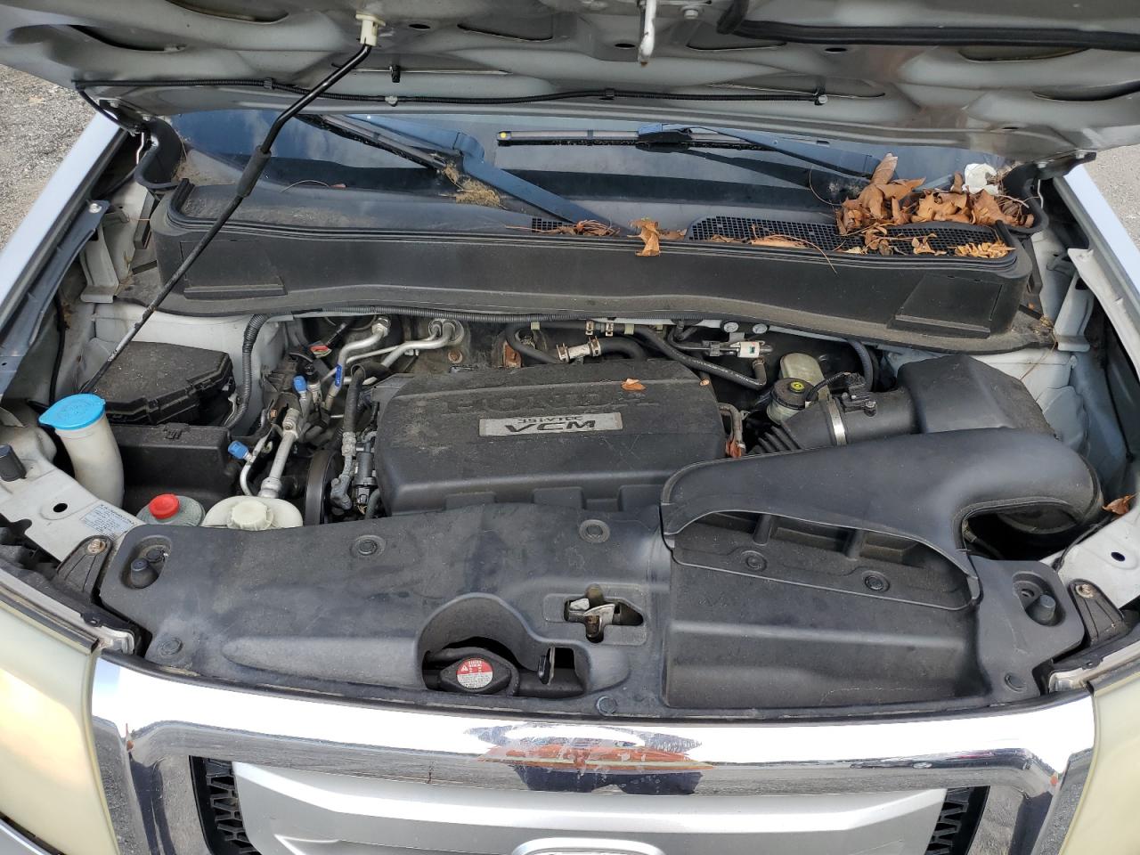 2009 Honda Pilot Exl VIN: 5FNYF48559B034295 Lot: 59227444