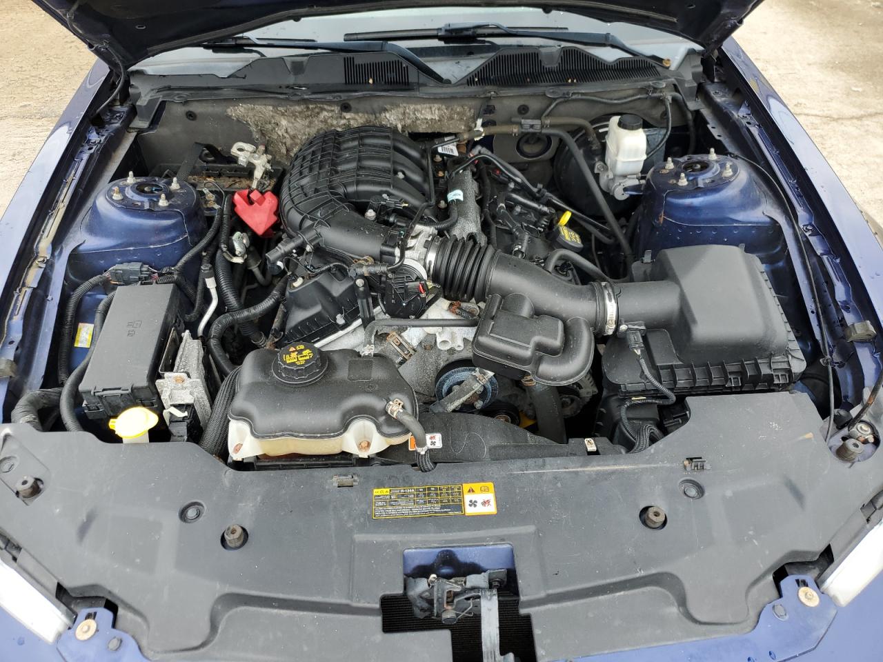 2011 Ford Mustang VIN: 1ZVBP8AM4B5166920 Lot: 59659554