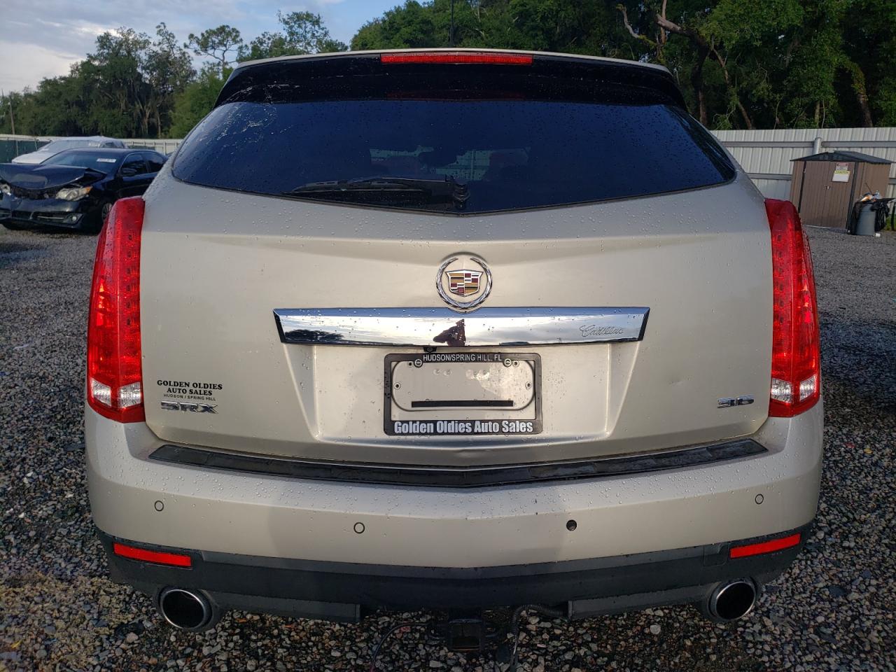 2016 Cadillac Srx Premium Collection VIN: 3GYFNDE38GS519820 Lot: 73225644