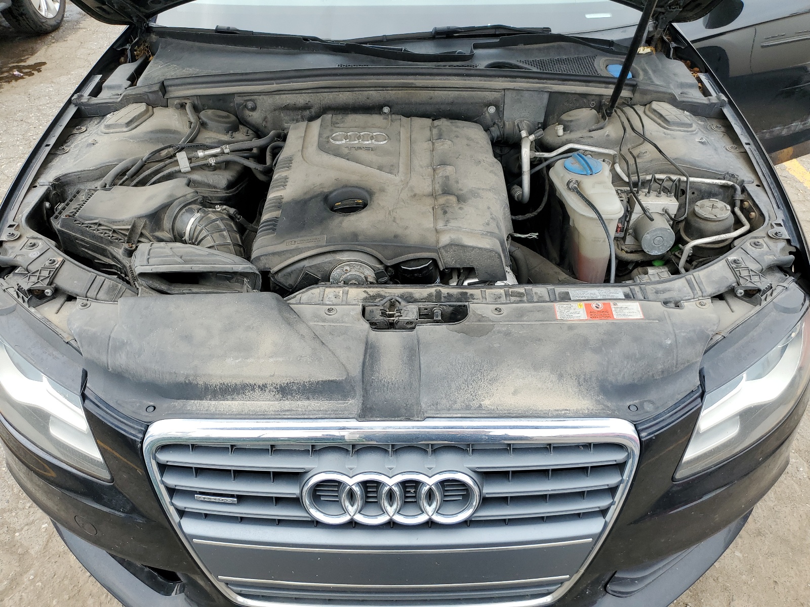 WAUWFAFL5AA145446 2010 Audi A4 Premium Plus