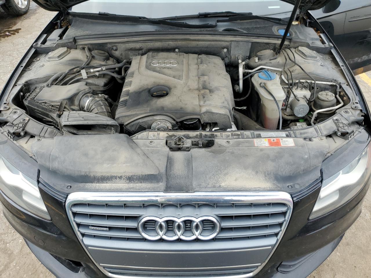 2010 Audi A4 Premium Plus VIN: WAUWFAFL5AA145446 Lot: 59438744