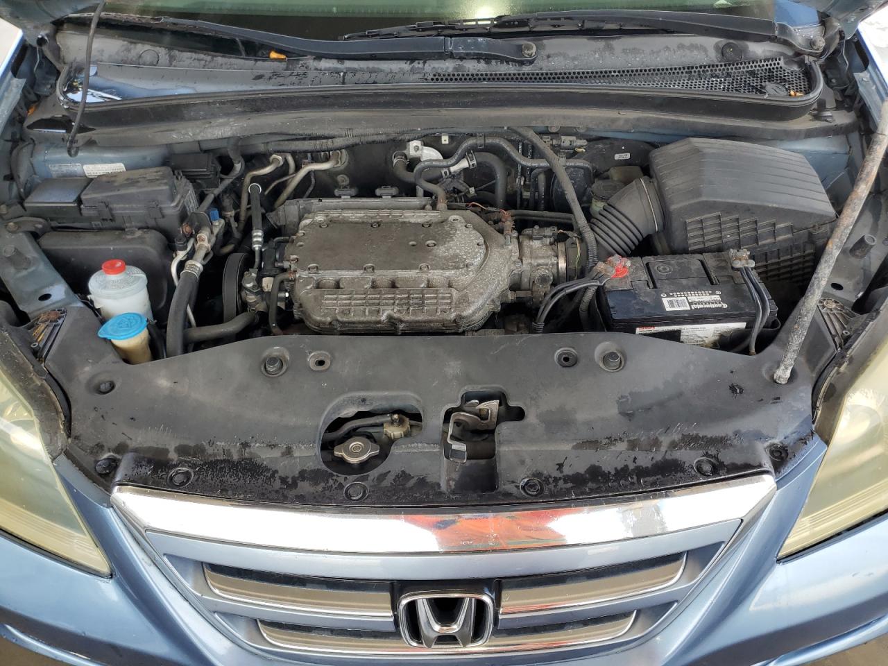 2006 Honda Odyssey Exl VIN: 5FNRL38786B059048 Lot: 59275054