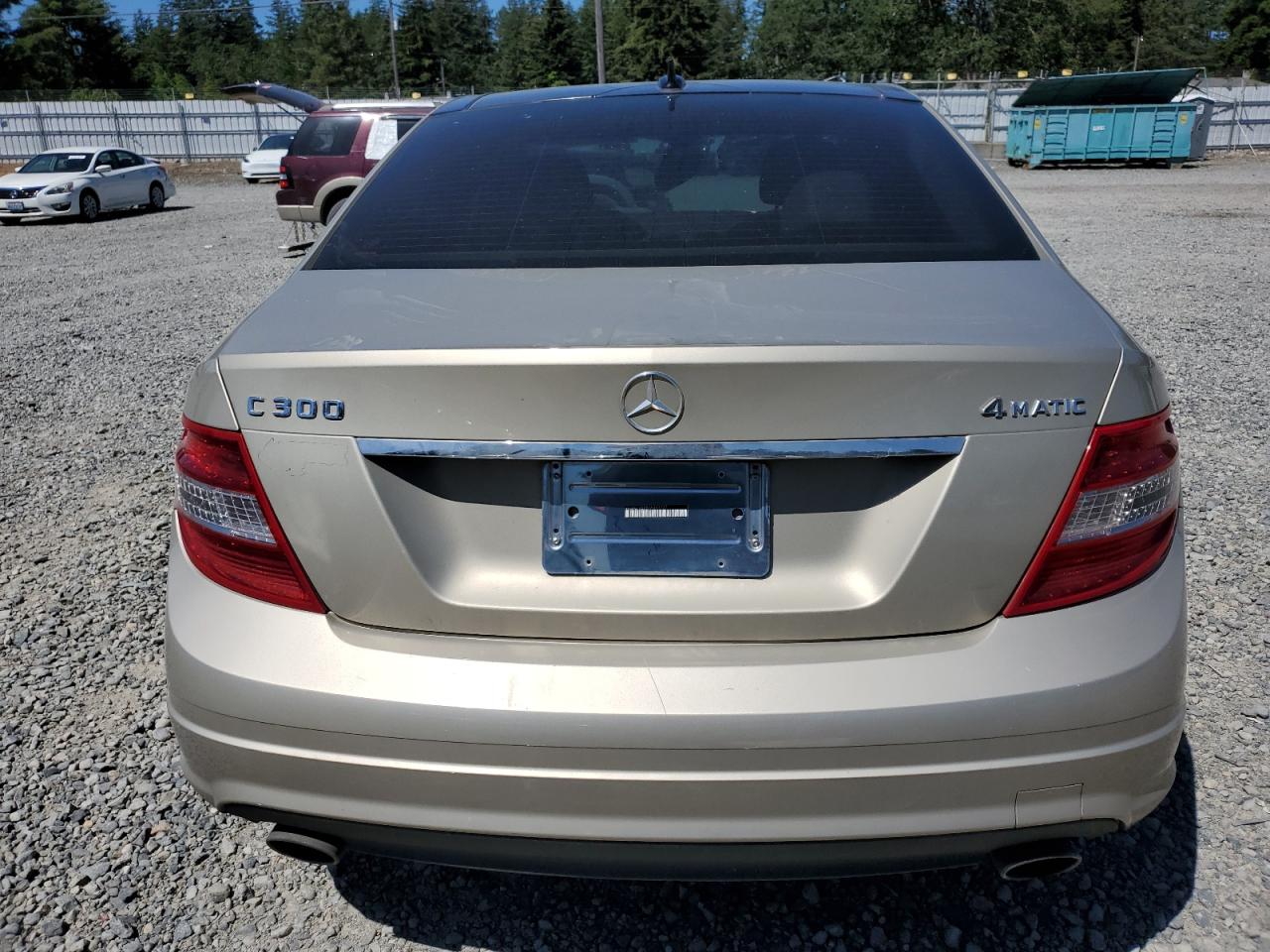 2010 Mercedes-Benz C 300 4Matic VIN: WDDGF8BB8AF463227 Lot: 57770924