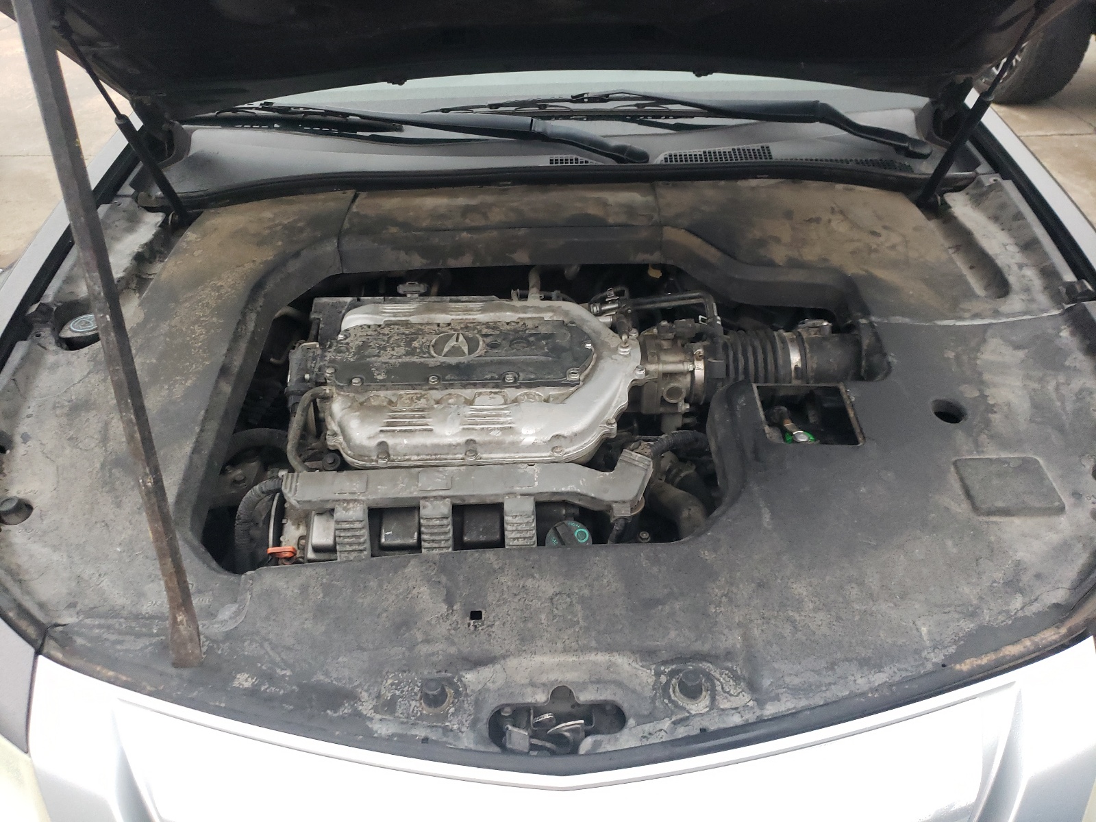 19UUA865X9A004727 2009 Acura Tl