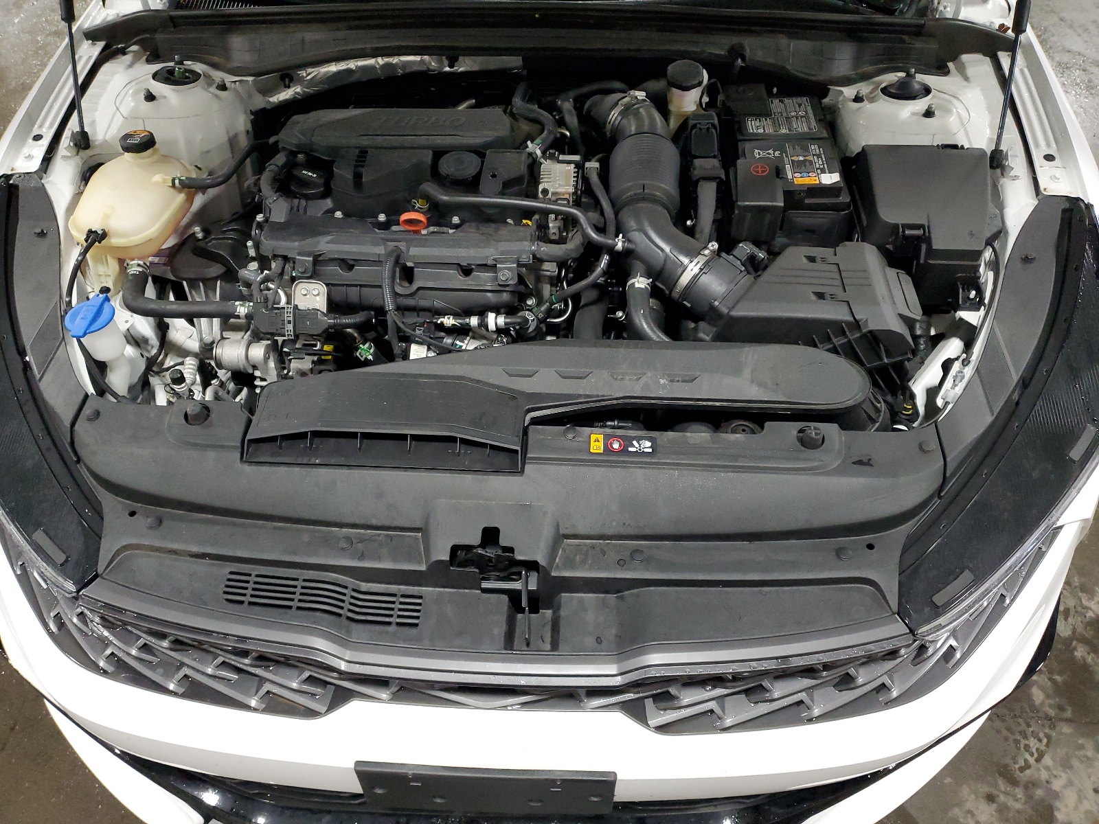 5XXG64J25RG240967 2024 Kia K5 Gt Line