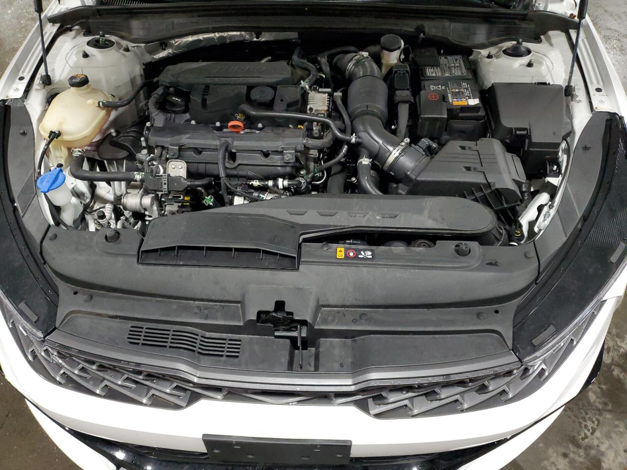 2024 Kia K5 Gt Line VIN: 5XXG64J25RG240967 Lot: 59598134