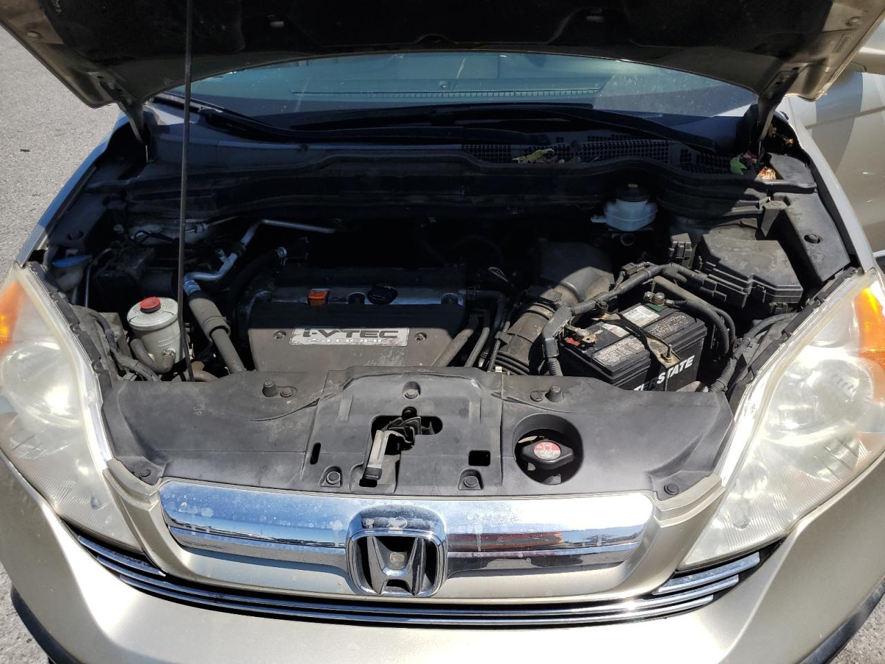 2007 Honda Cr-V Exl VIN: JHLRE48707C069512 Lot: 59977604