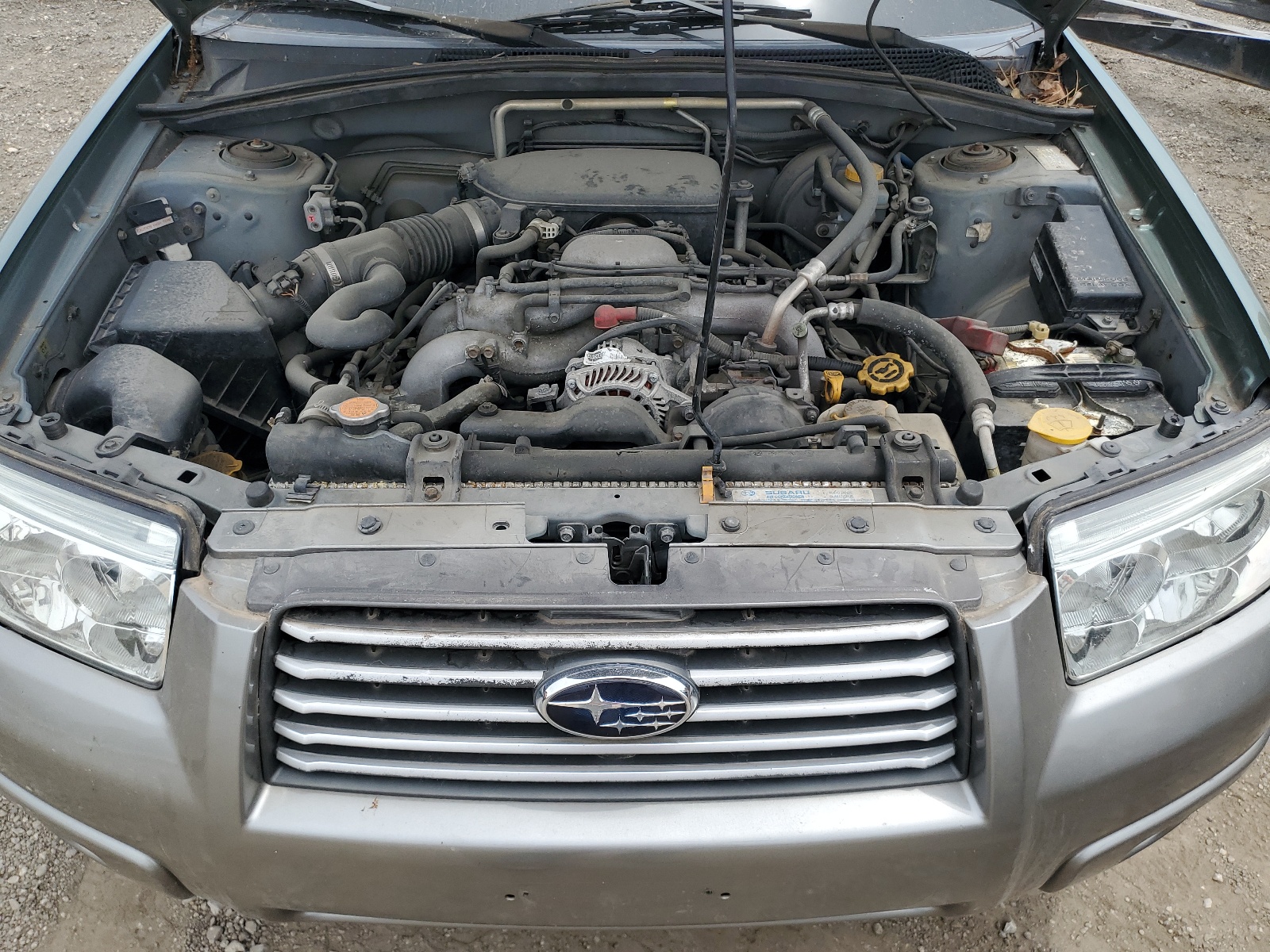JF1SG67606H749656 2006 Subaru Forester 2.5X Ll Bean