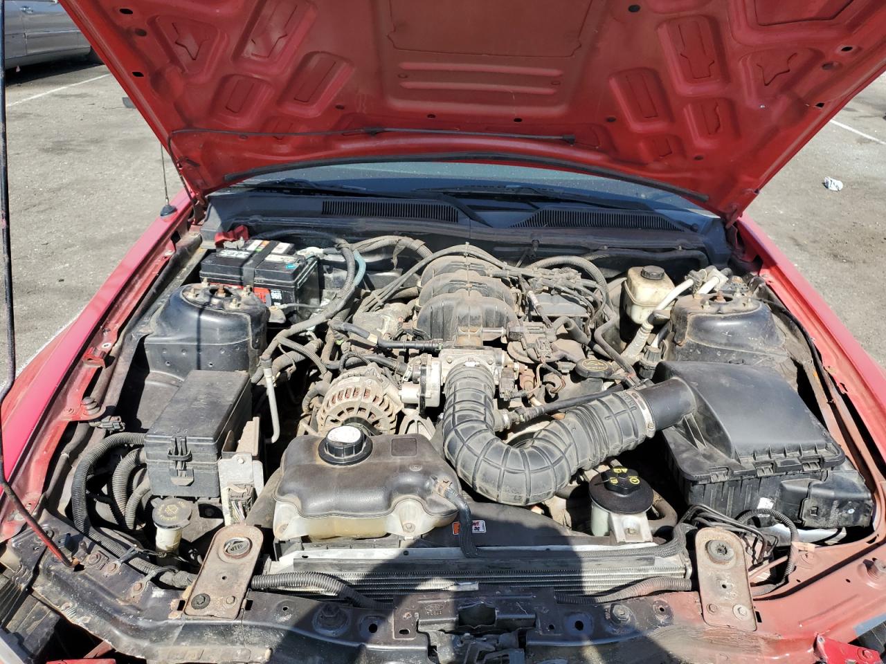 2008 Ford Mustang VIN: 1ZVHT80N485106807 Lot: 59369614