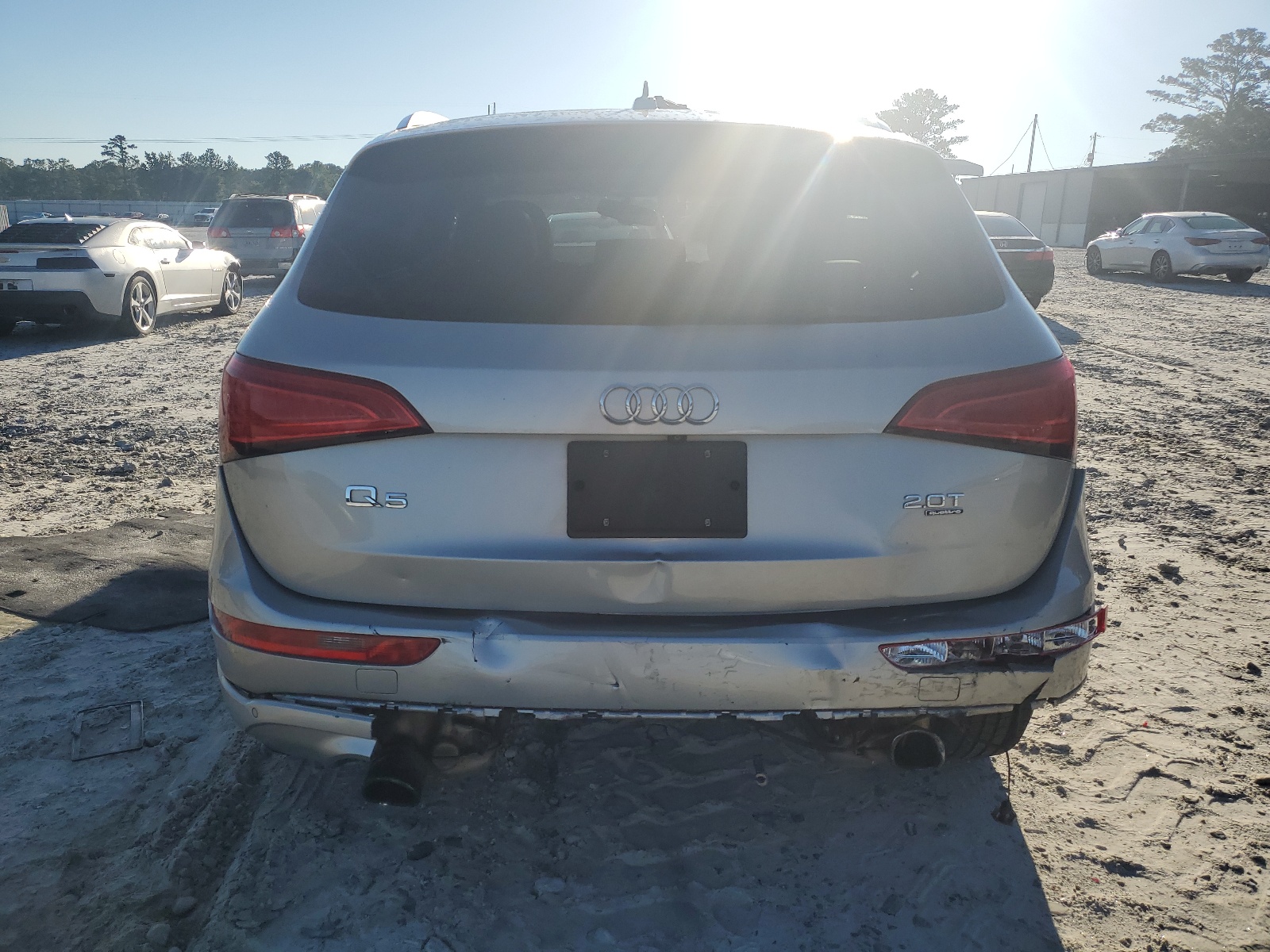 WA1LFAFP1DA053368 2013 Audi Q5 Premium Plus