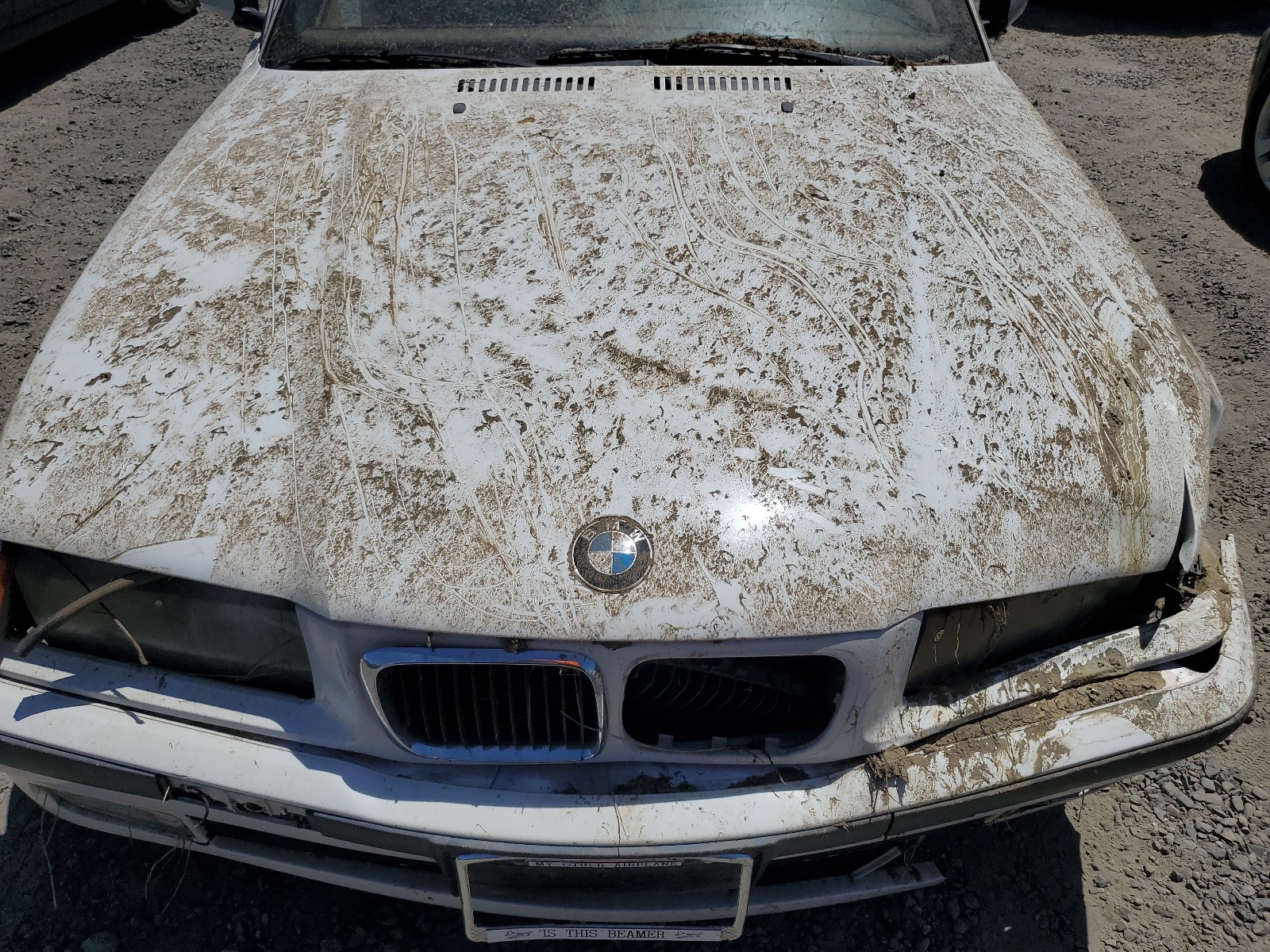 WBABK8327WEY87104 1998 BMW 328 Ic Automatic