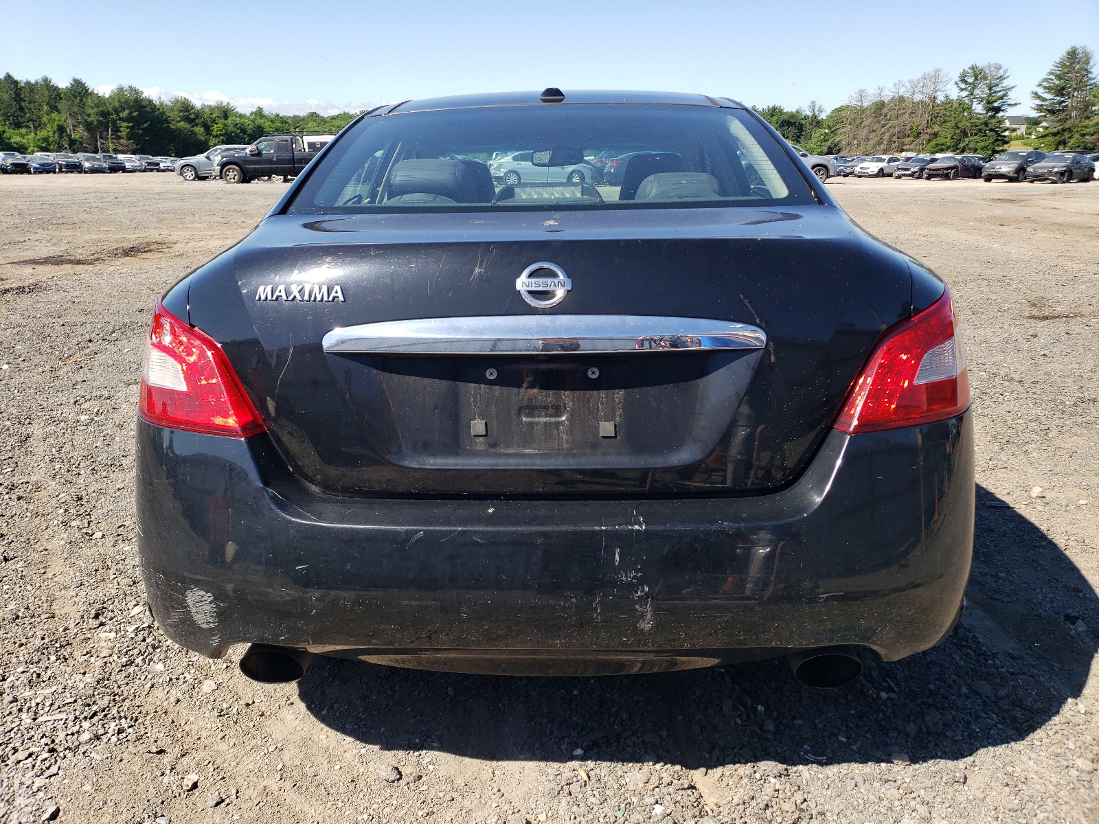 1N4AA5AP6AC846228 2010 Nissan Maxima S