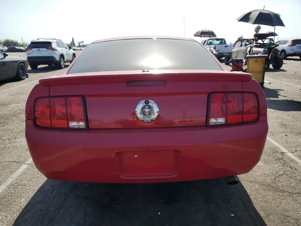 2008 Ford Mustang VIN: 1ZVHT80N485106807 Lot: 59369614