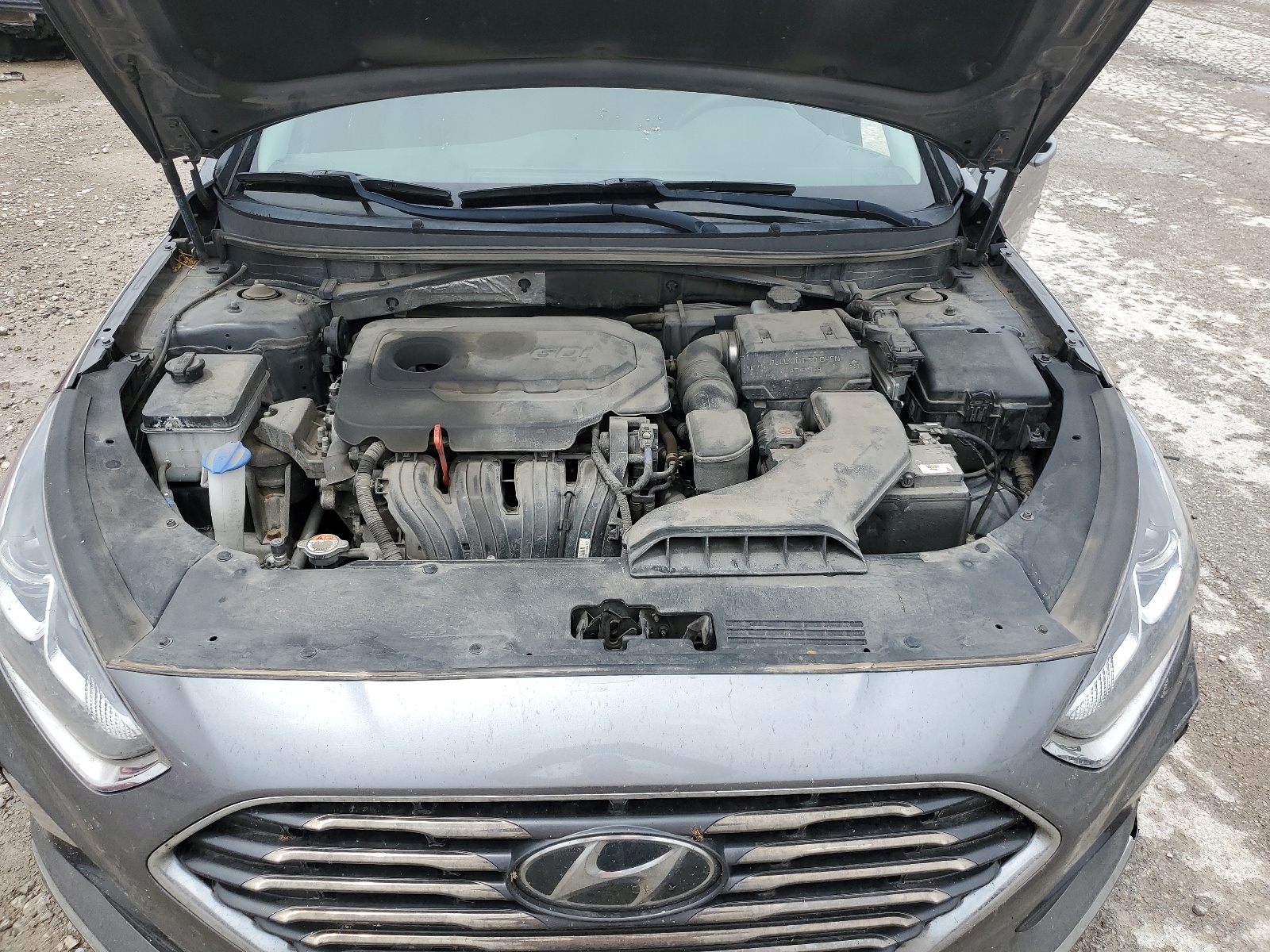 5NPE24AF5KH820266 2019 Hyundai Sonata Se
