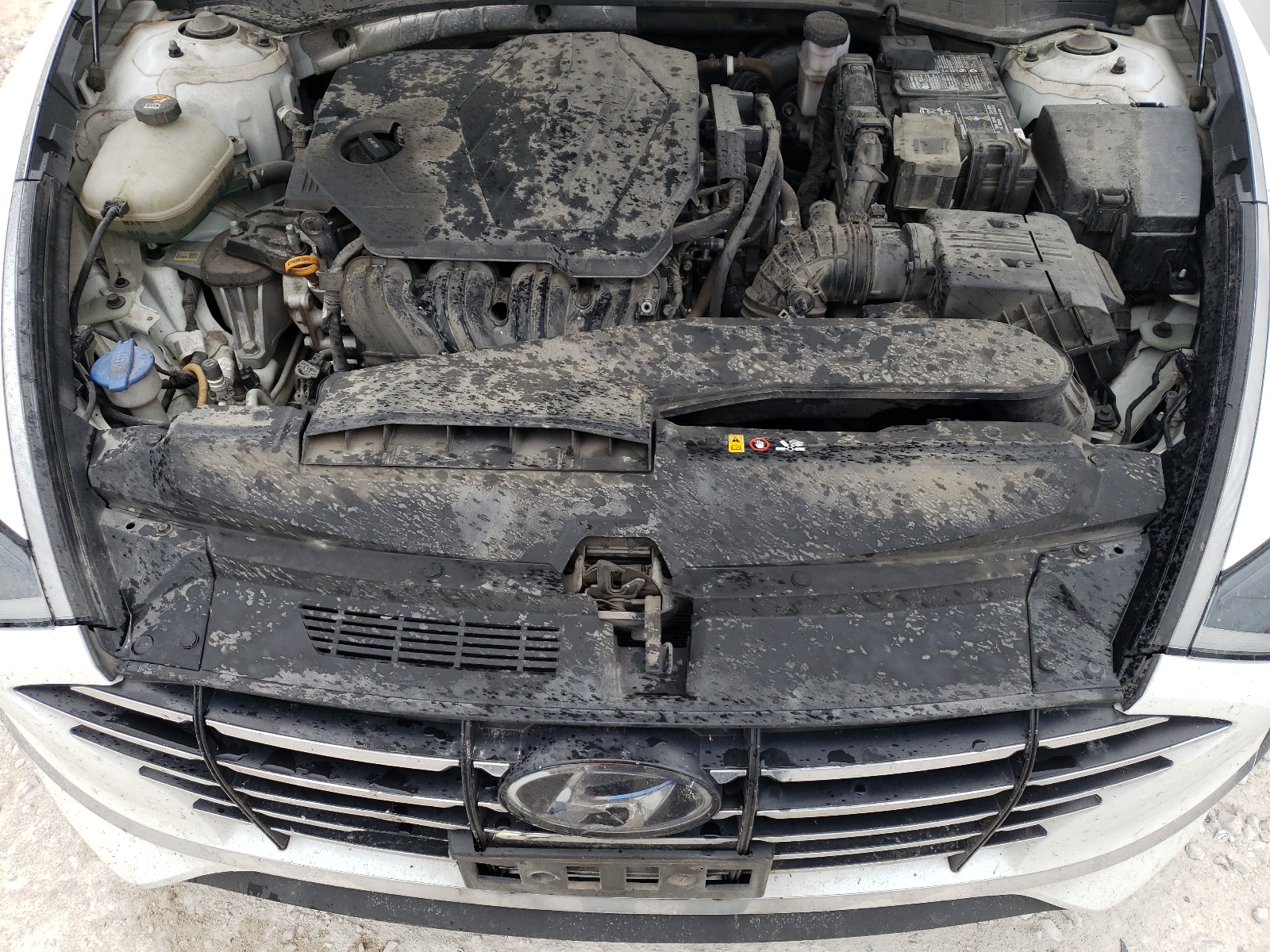 5NPEG4JAXLH059046 2020 Hyundai Sonata Se