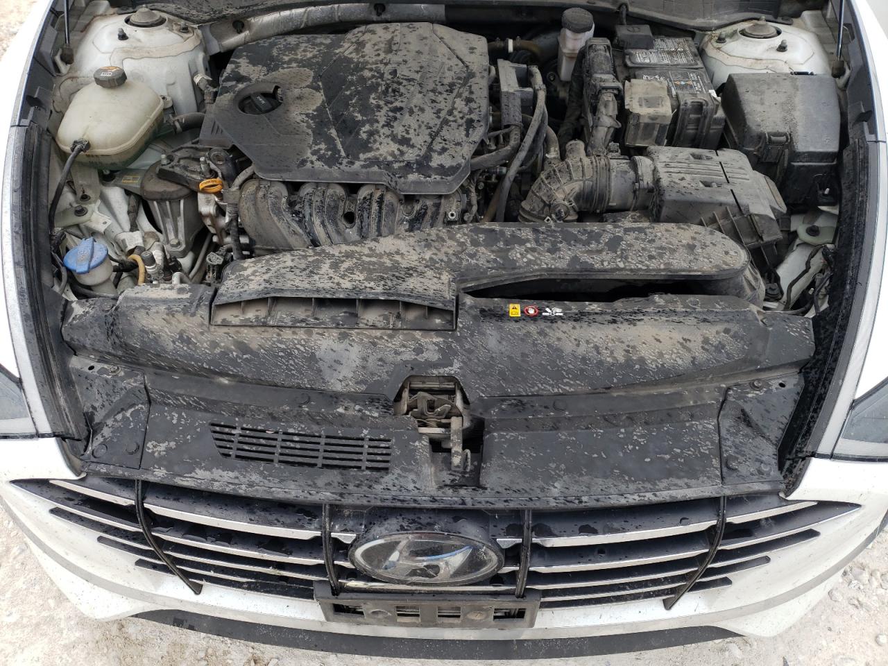 2020 Hyundai Sonata Se VIN: 5NPEG4JAXLH059046 Lot: 57236604