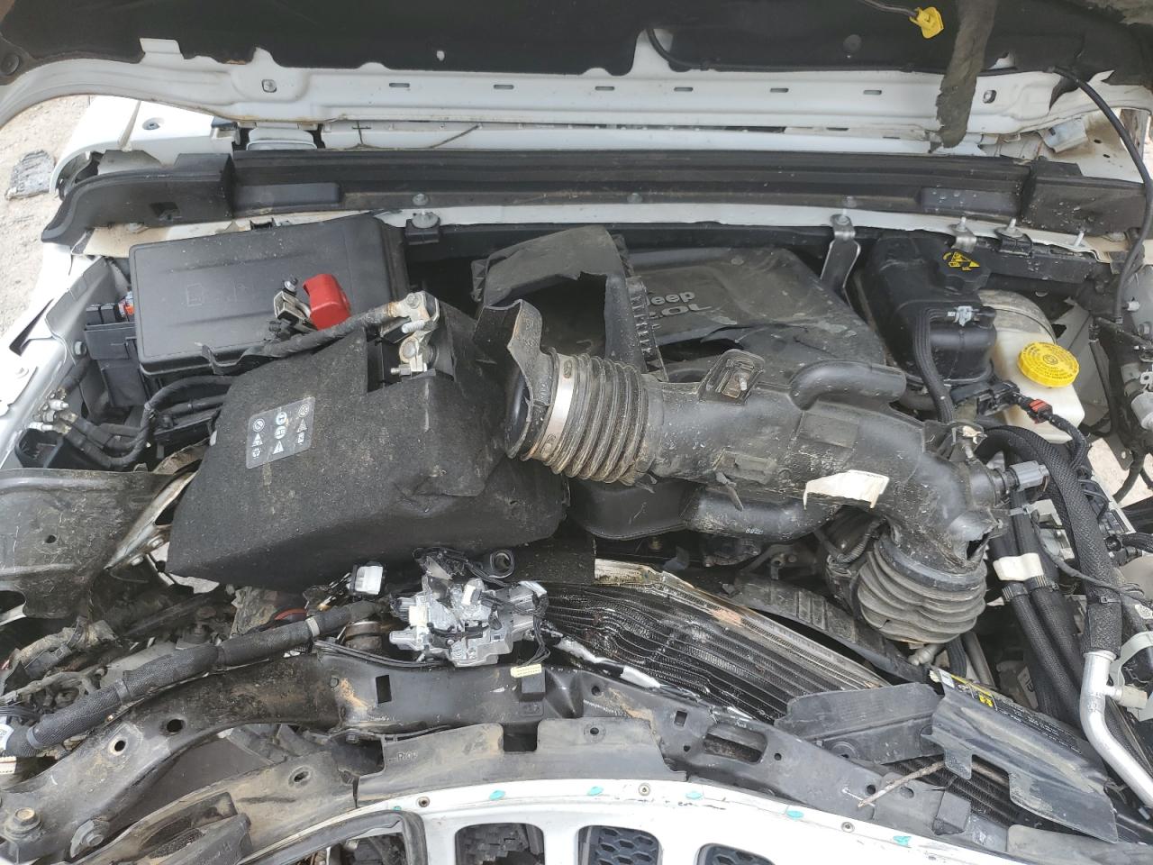 2019 Jeep Wrangler Unlimited Rubicon VIN: 1C4HJXFN8KW576558 Lot: 56640584