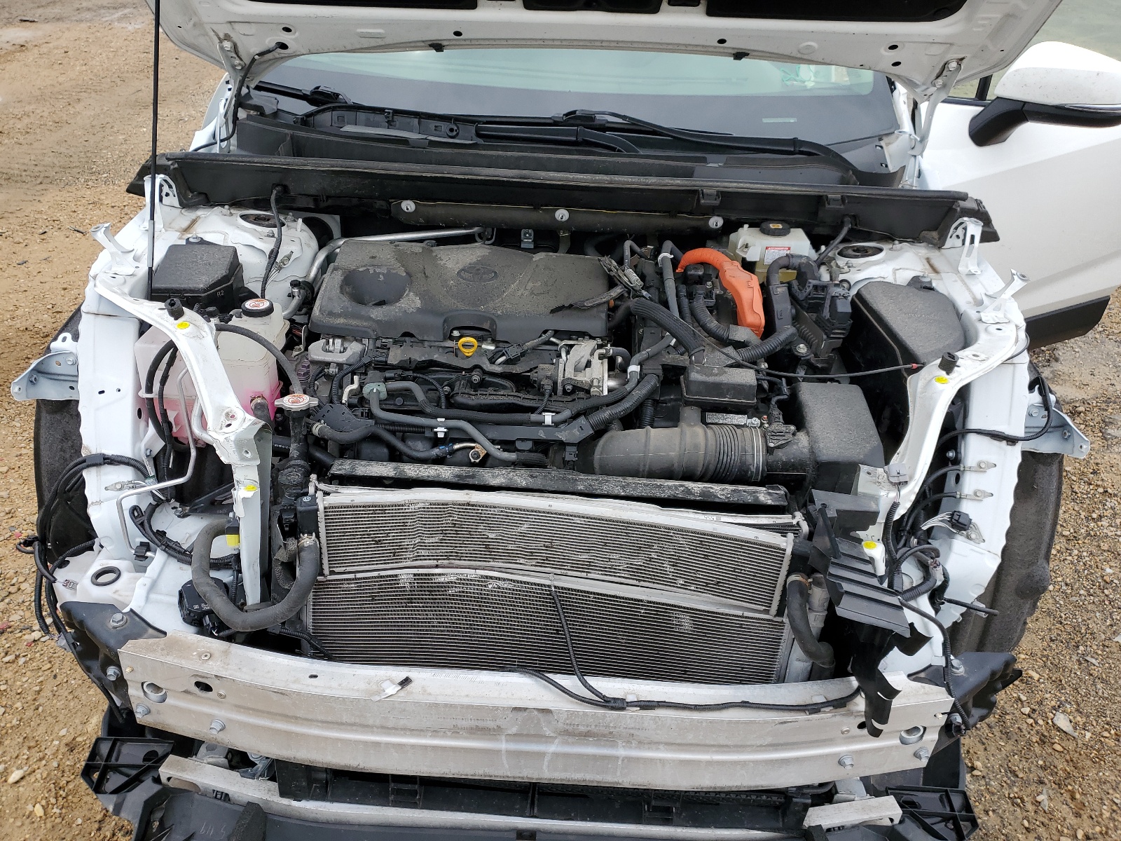 JTMR6RFV6LD001339 2020 Toyota Rav4 Xle