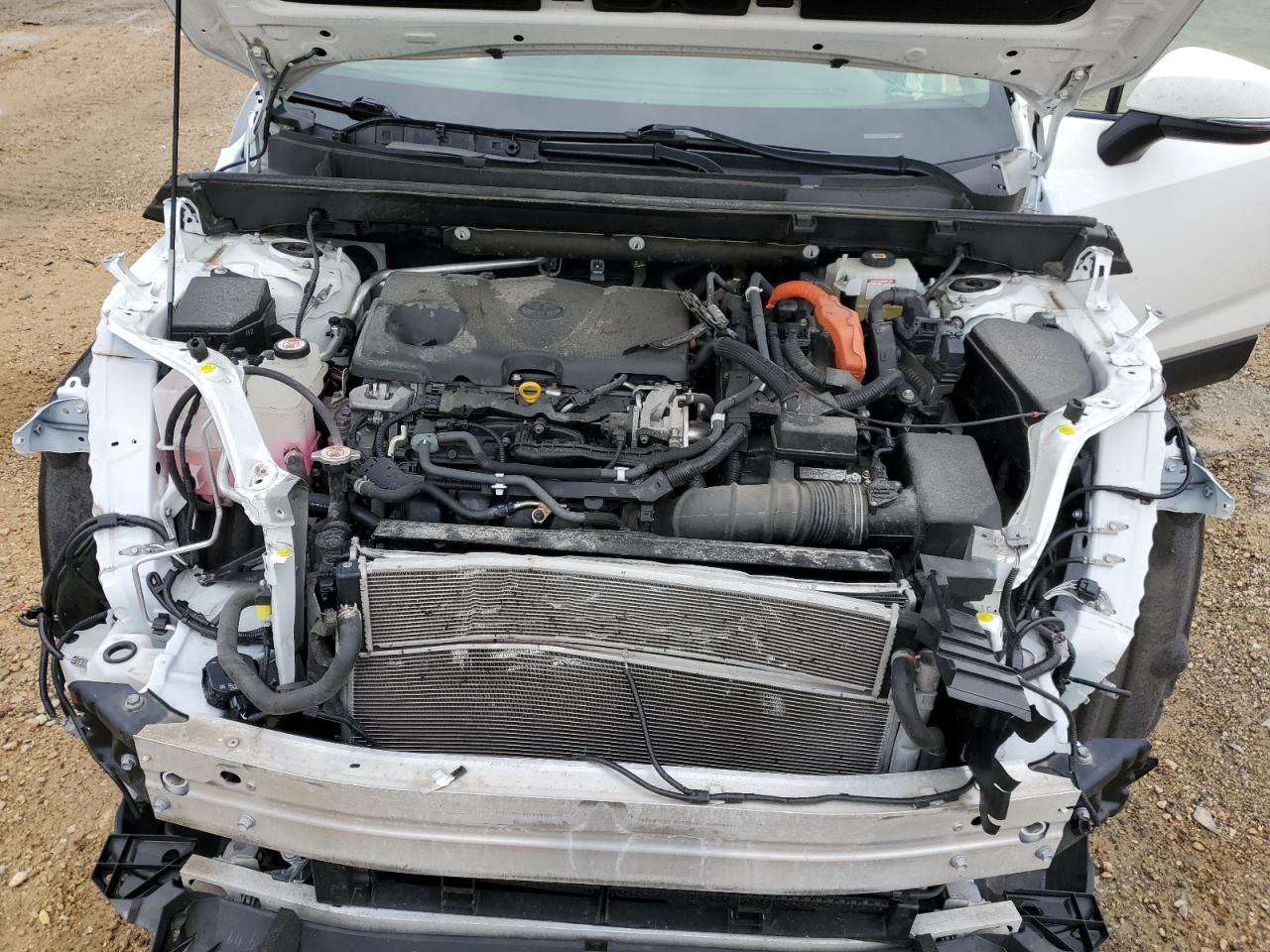 2020 Toyota Rav4 Xle VIN: JTMR6RFV6LD001339 Lot: 59432694