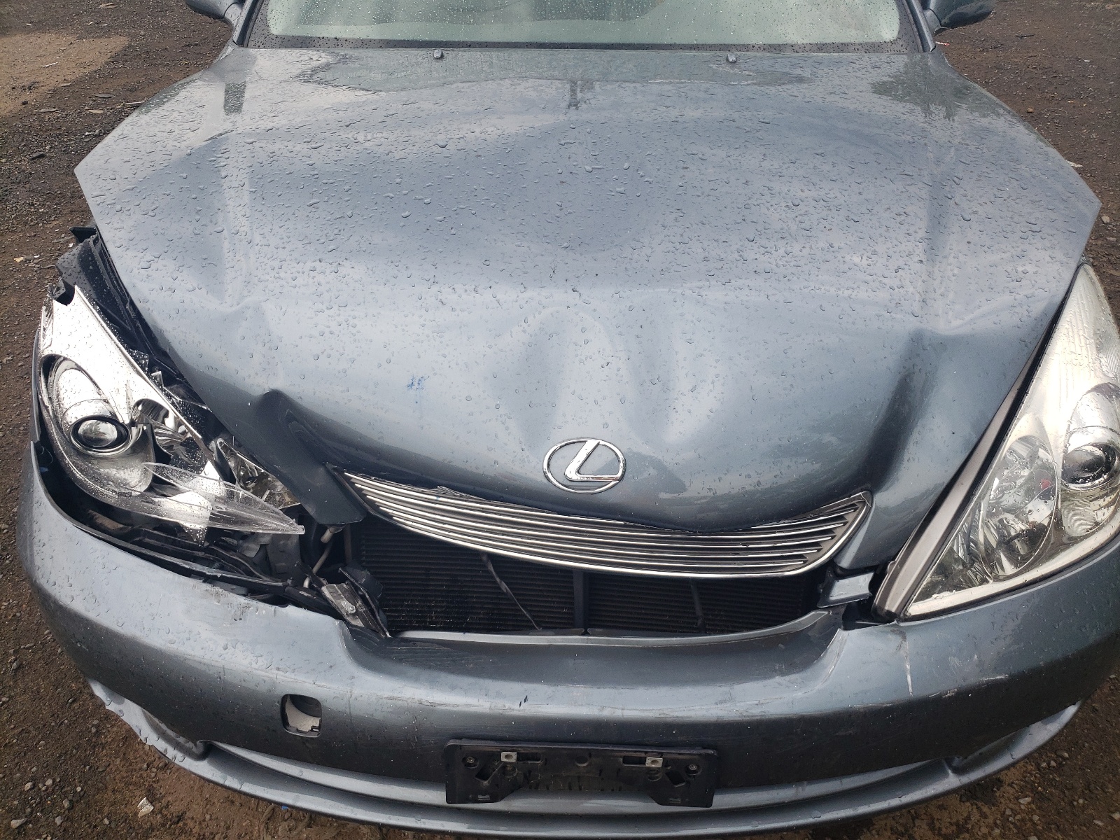 JTHBA30G655081731 2005 Lexus Es 330