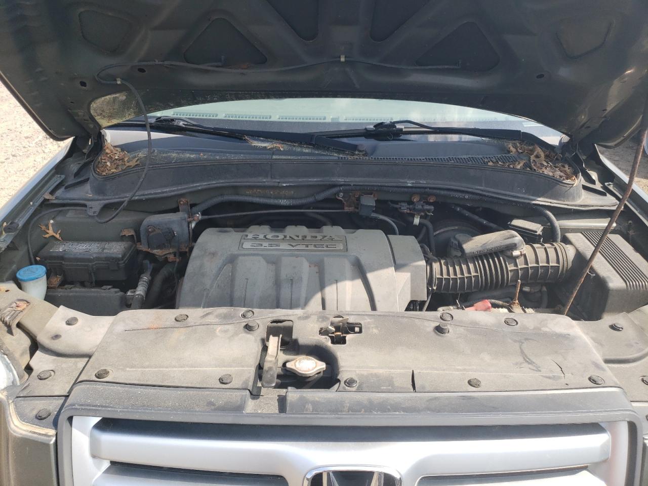 2006 Honda Pilot Ex VIN: 2HKYF18416H523537 Lot: 59477134