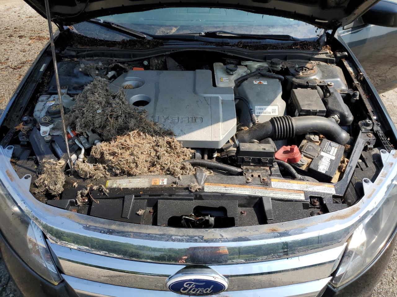 2010 Ford Fusion Hybrid VIN: 3FADP0L35AR328783 Lot: 59112804