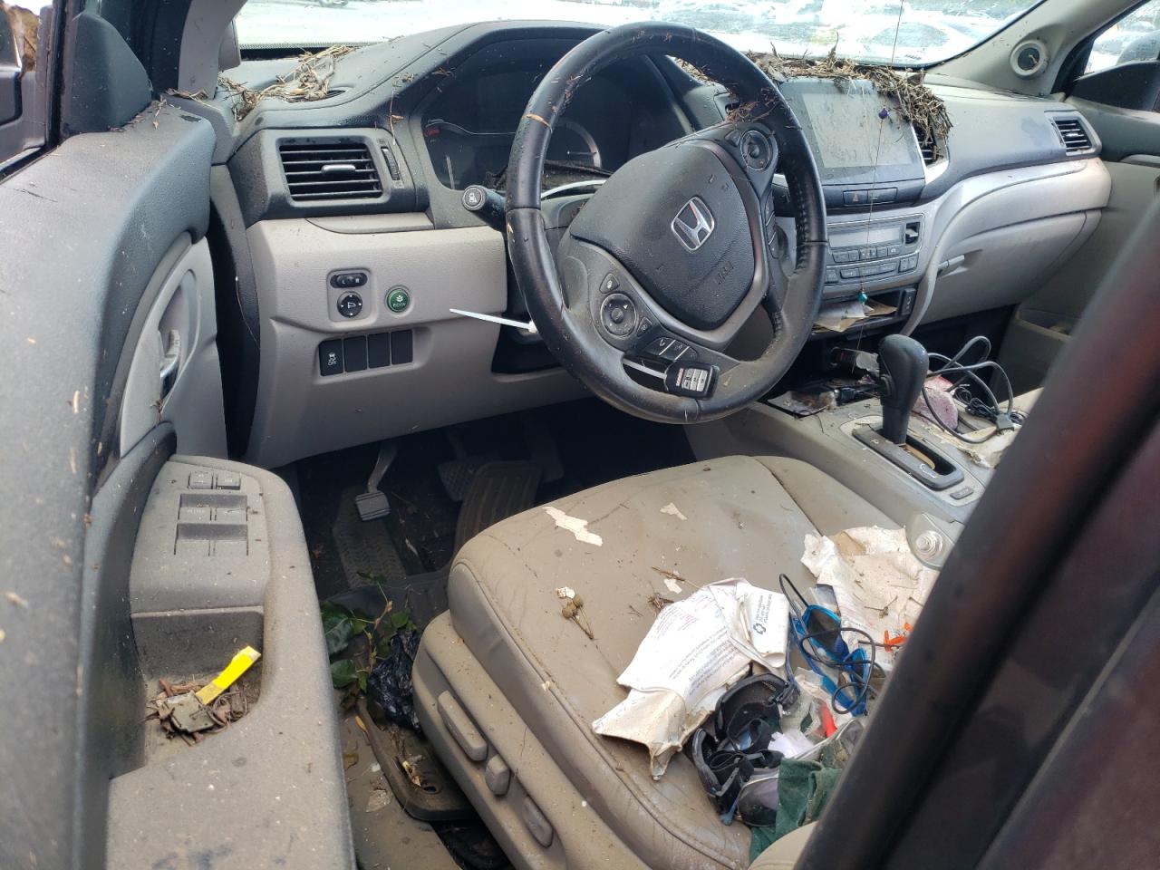 2018 Honda Pilot Exl VIN: 5FNYF5H51JB023112 Lot: 60680814