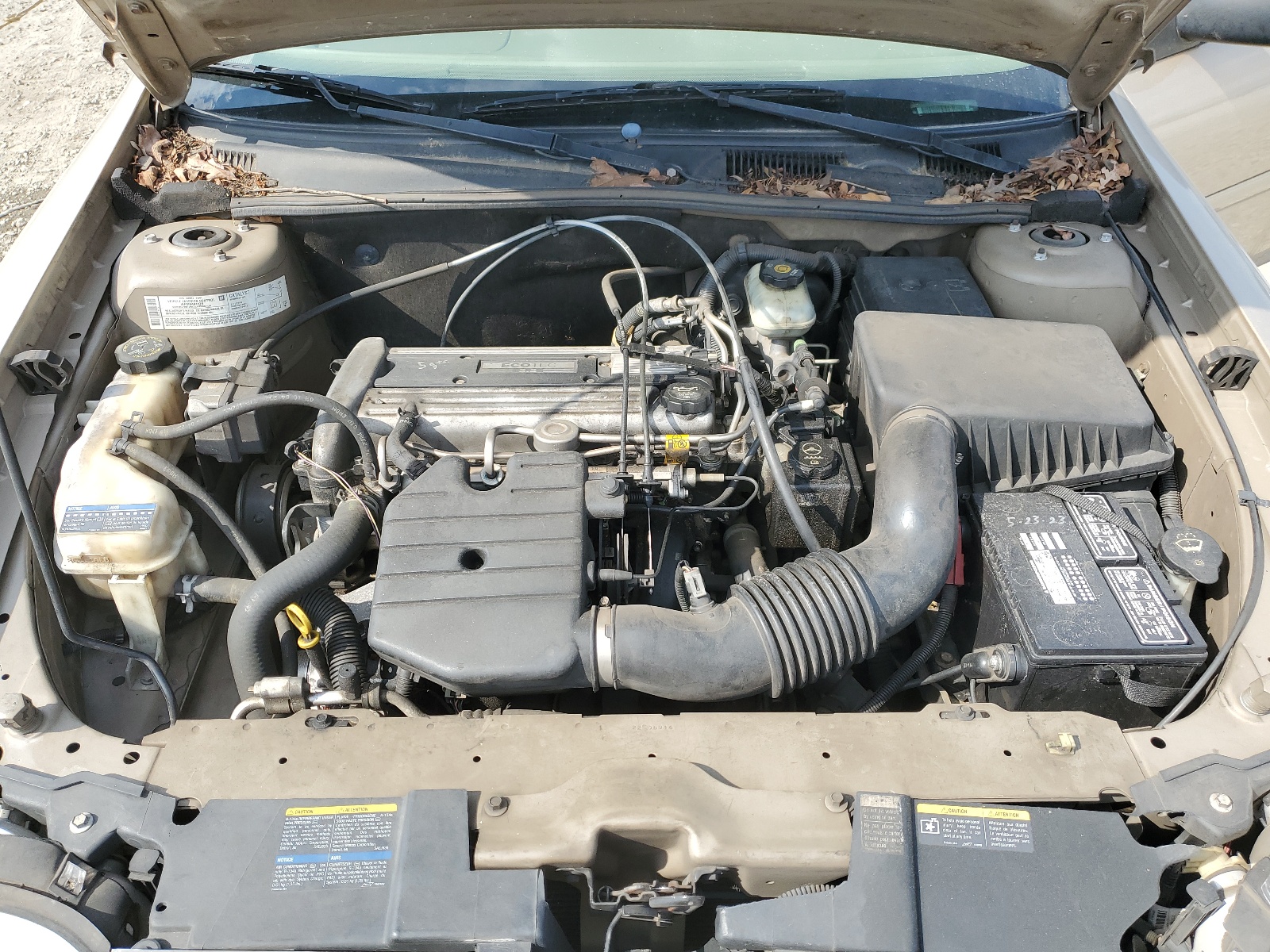 1G1ND52F45M151442 2005 Chevrolet Classic