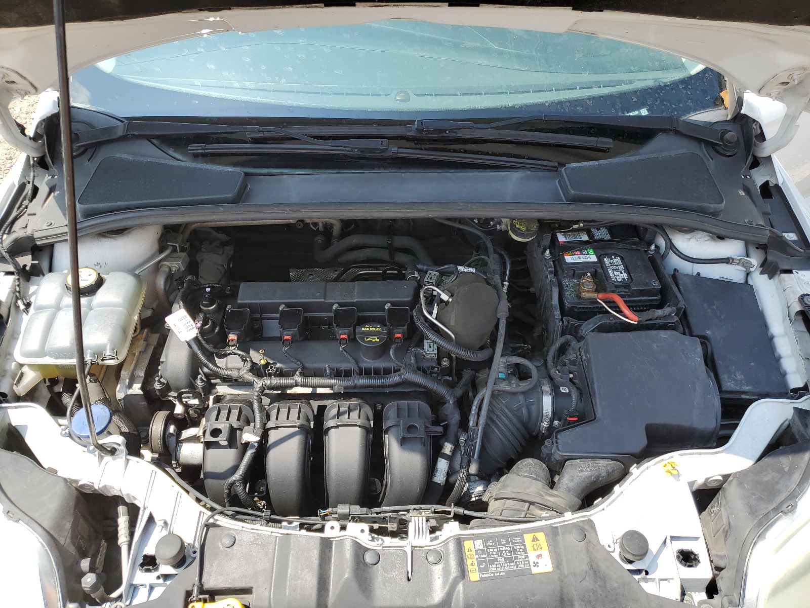 1FADP3F23EL362634 2014 Ford Focus Se