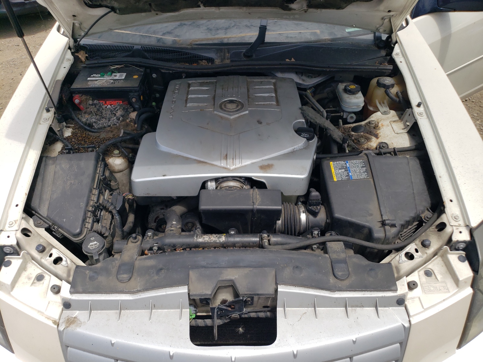 1G6DP577360143307 2006 Cadillac Cts Hi Feature V6