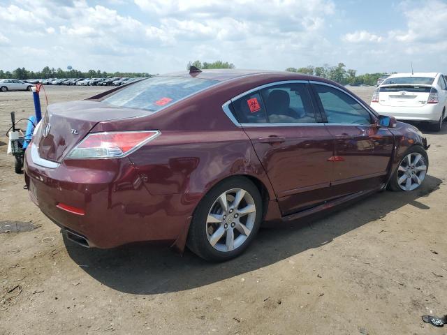 19UUA8F25CA019553 | 2012 Acura tl